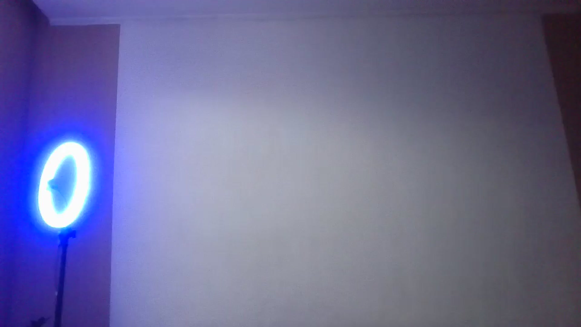 Gallery image thumbnail from HaleyReed's myfreecams stream on, 02/14/2025, 12:03 image 11 of 20