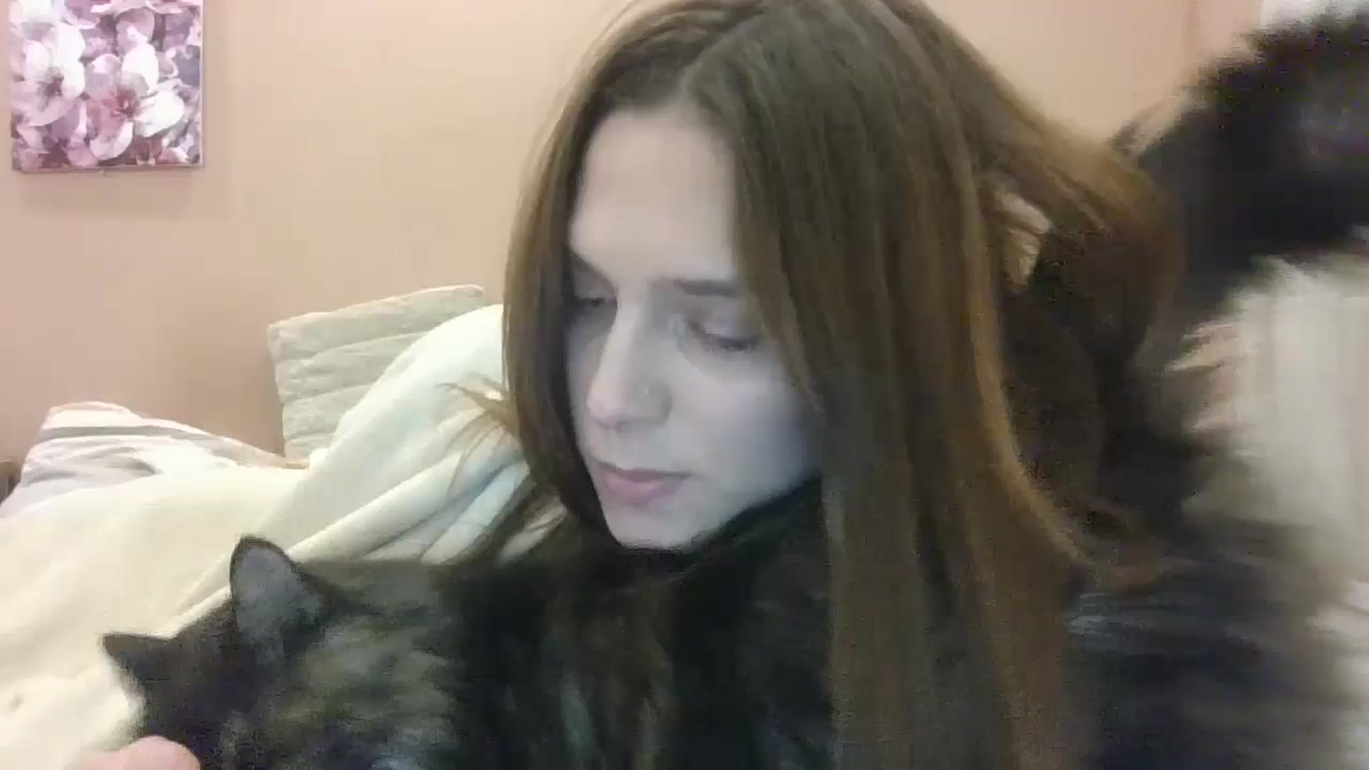 Gallery image thumbnail from HaleyReed's myfreecams stream on, 02/20/2025, 16:19 image 1 of 20