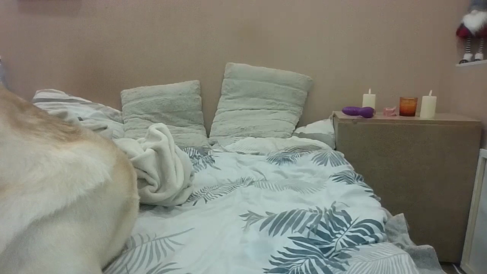 Gallery image thumbnail from HaleyReed's myfreecams stream on, 02/20/2025, 17:24 image 11 of 20