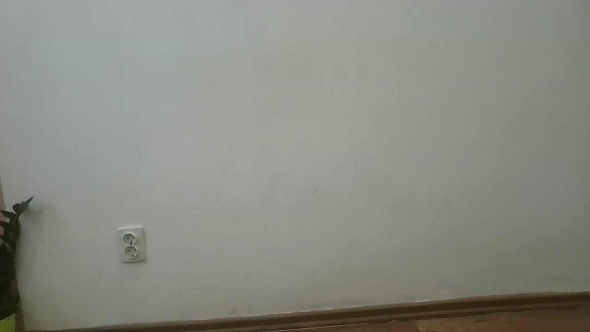 Gallery image thumbnail from HaleyReed's myfreecams stream on, 02/21/2025, 12:53 image 8 of 20
