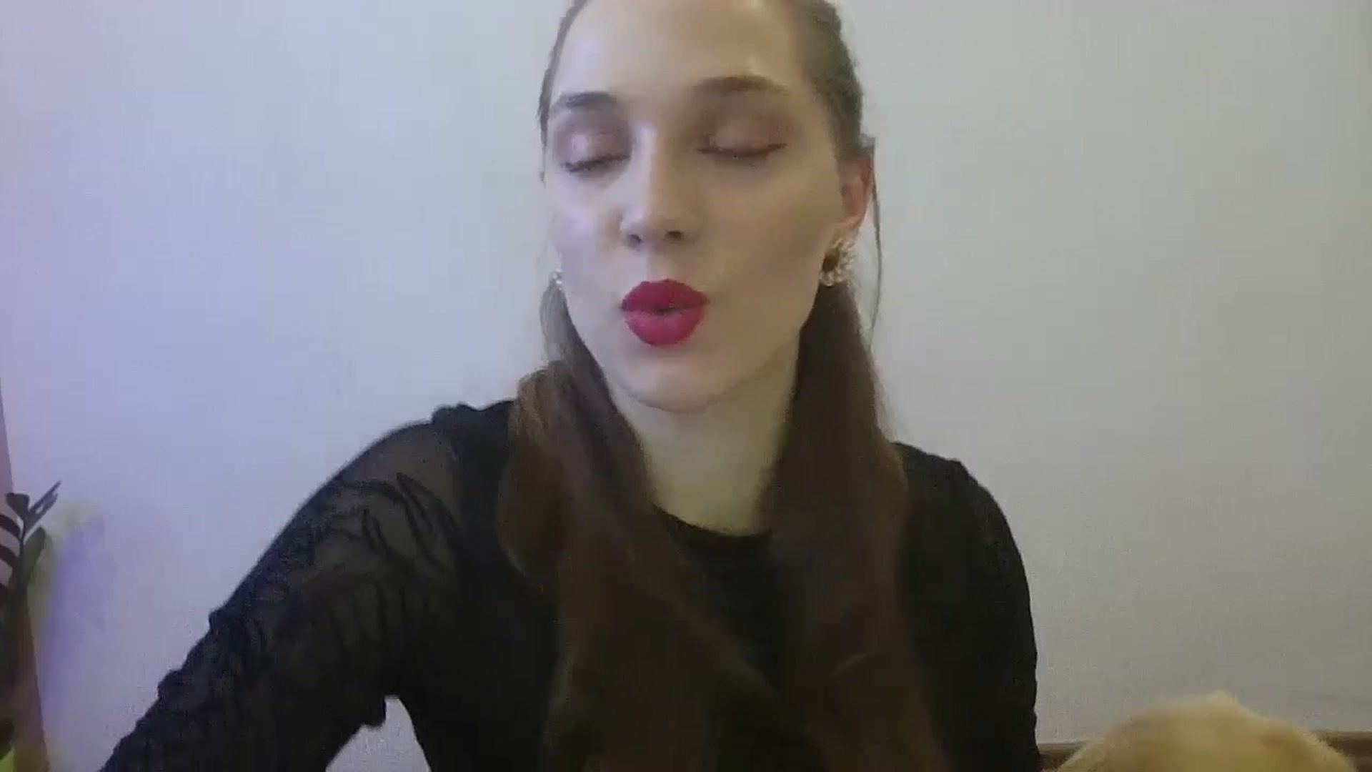 Gallery image thumbnail from HaleyReed's myfreecams stream on, 02/24/2025, 12:01 image 4 of 20