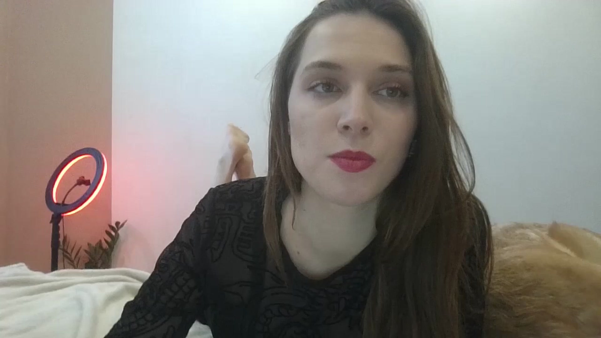 Gallery image thumbnail from HaleyReed's myfreecams stream on, 02/24/2025, 13:53 image 4 of 20