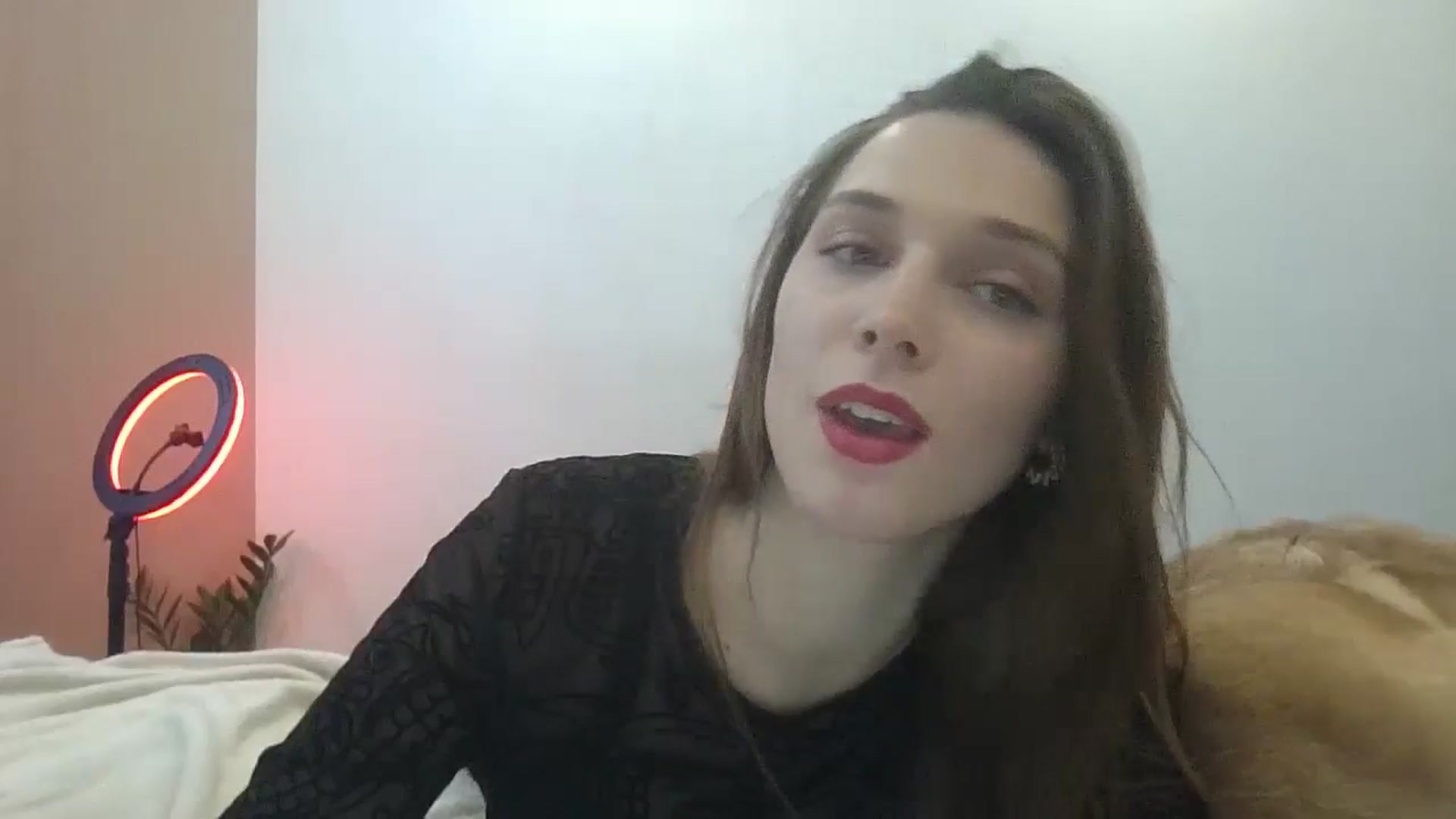 Gallery image thumbnail from HaleyReed's myfreecams stream on, 02/24/2025, 13:53 image 5 of 20