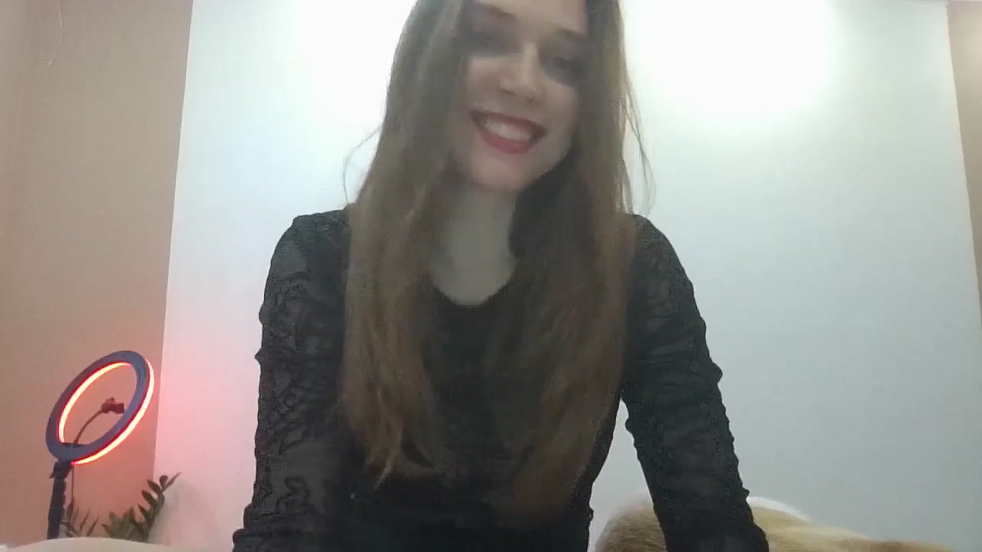 Gallery image thumbnail from HaleyReed's myfreecams stream on, 02/24/2025, 13:53 image 11 of 20