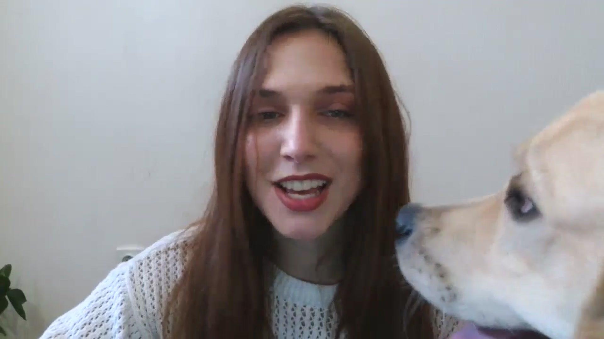 Gallery image thumbnail from HaleyReed's myfreecams stream on, 03/28/2025, 11:56 image 14 of 20