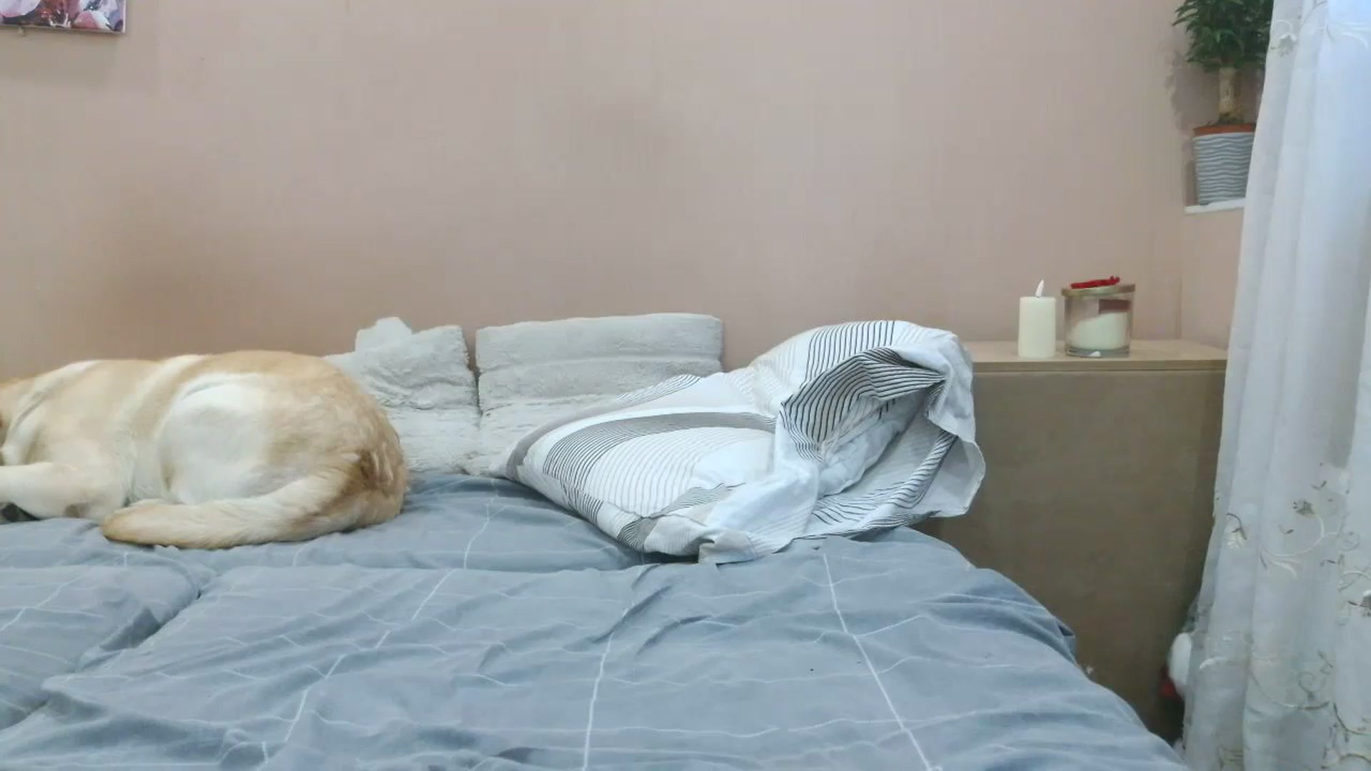 Gallery image thumbnail from HaleyReed's myfreecams stream on, 04/02/2025, 11:29 image 3 of 20