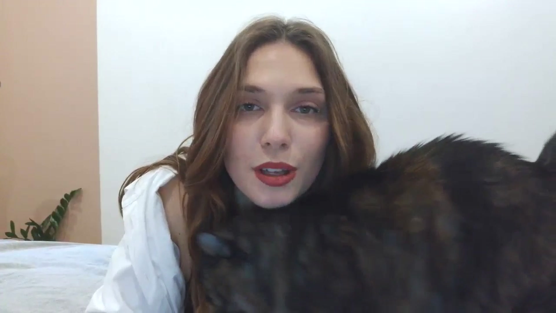 Gallery image thumbnail from HaleyReed's myfreecams stream on, 04/07/2025, 13:37 image 10 of 20