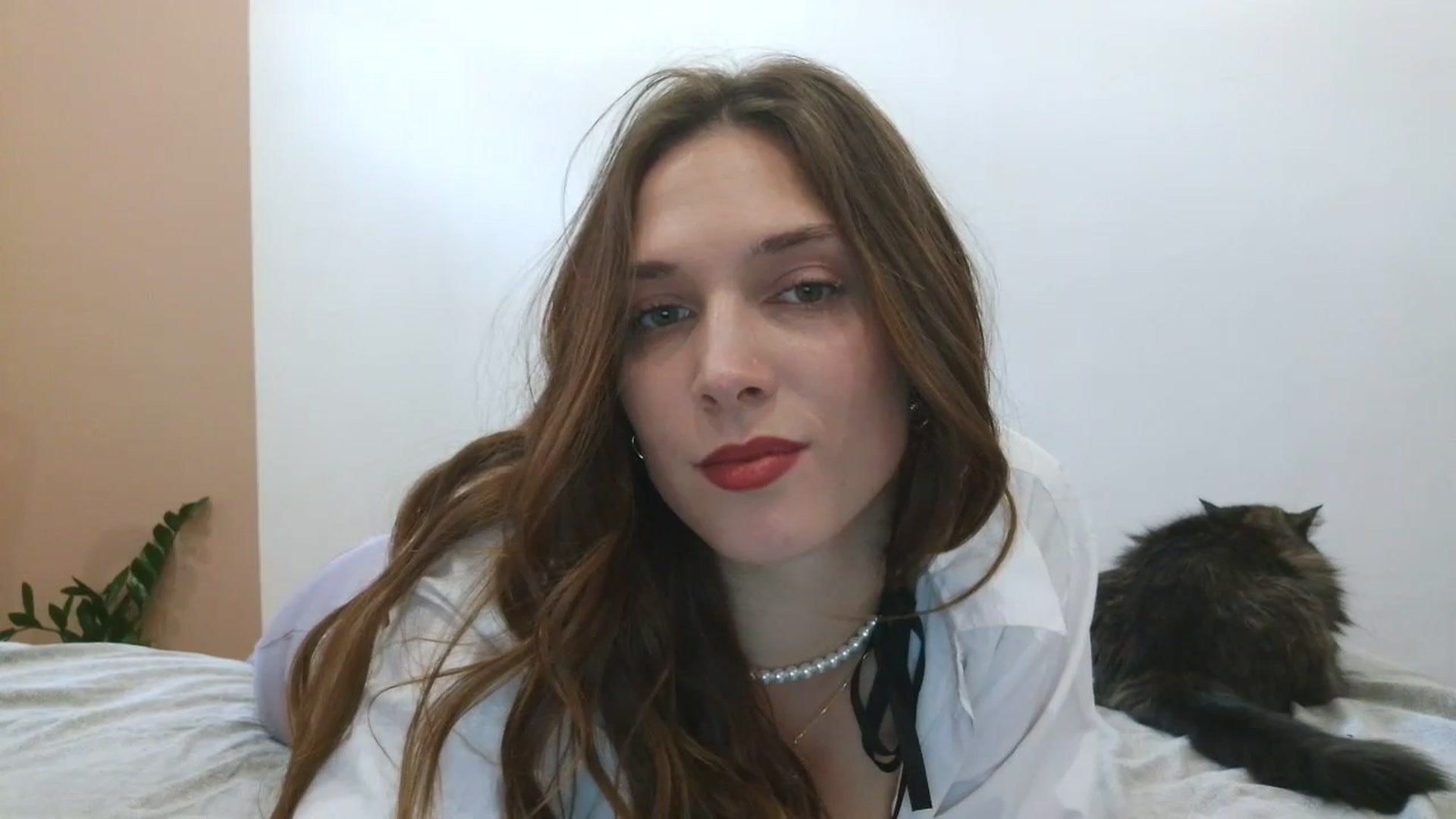 Gallery image thumbnail from HaleyReed's myfreecams stream on, 04/07/2025, 13:37 image 13 of 20