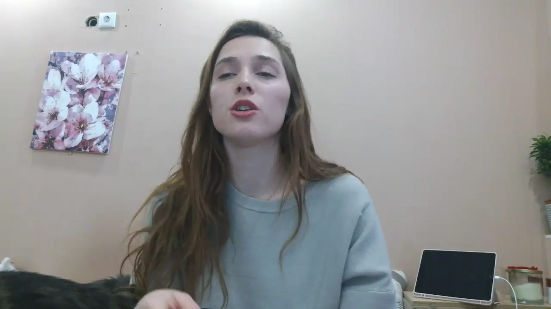 Gallery image thumbnail from HaleyReed's myfreecams stream on, 04/09/2025, 13:23 image 17 of 20