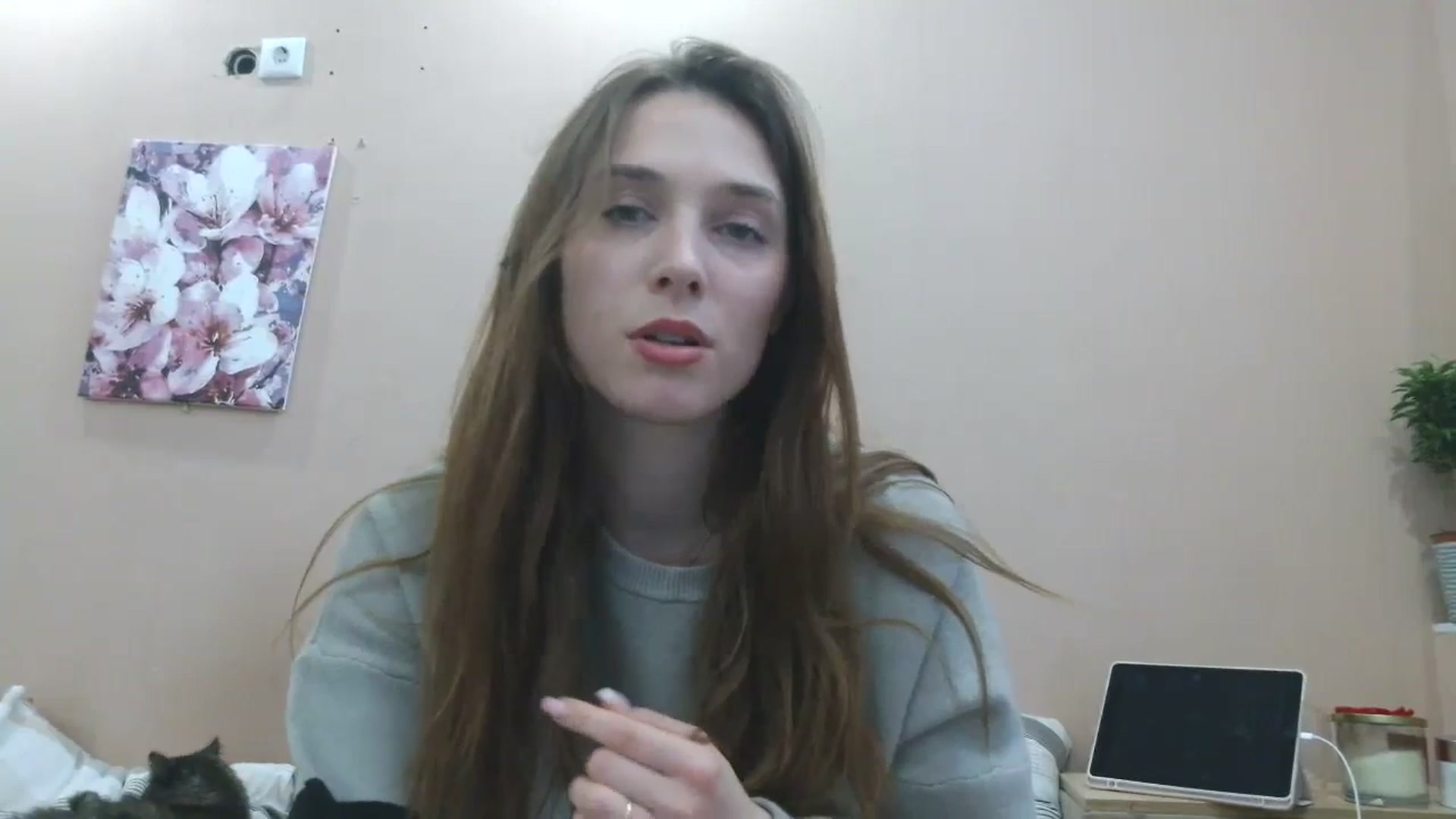 Gallery image thumbnail from HaleyReed's myfreecams stream on, 04/09/2025, 13:23 image 18 of 20