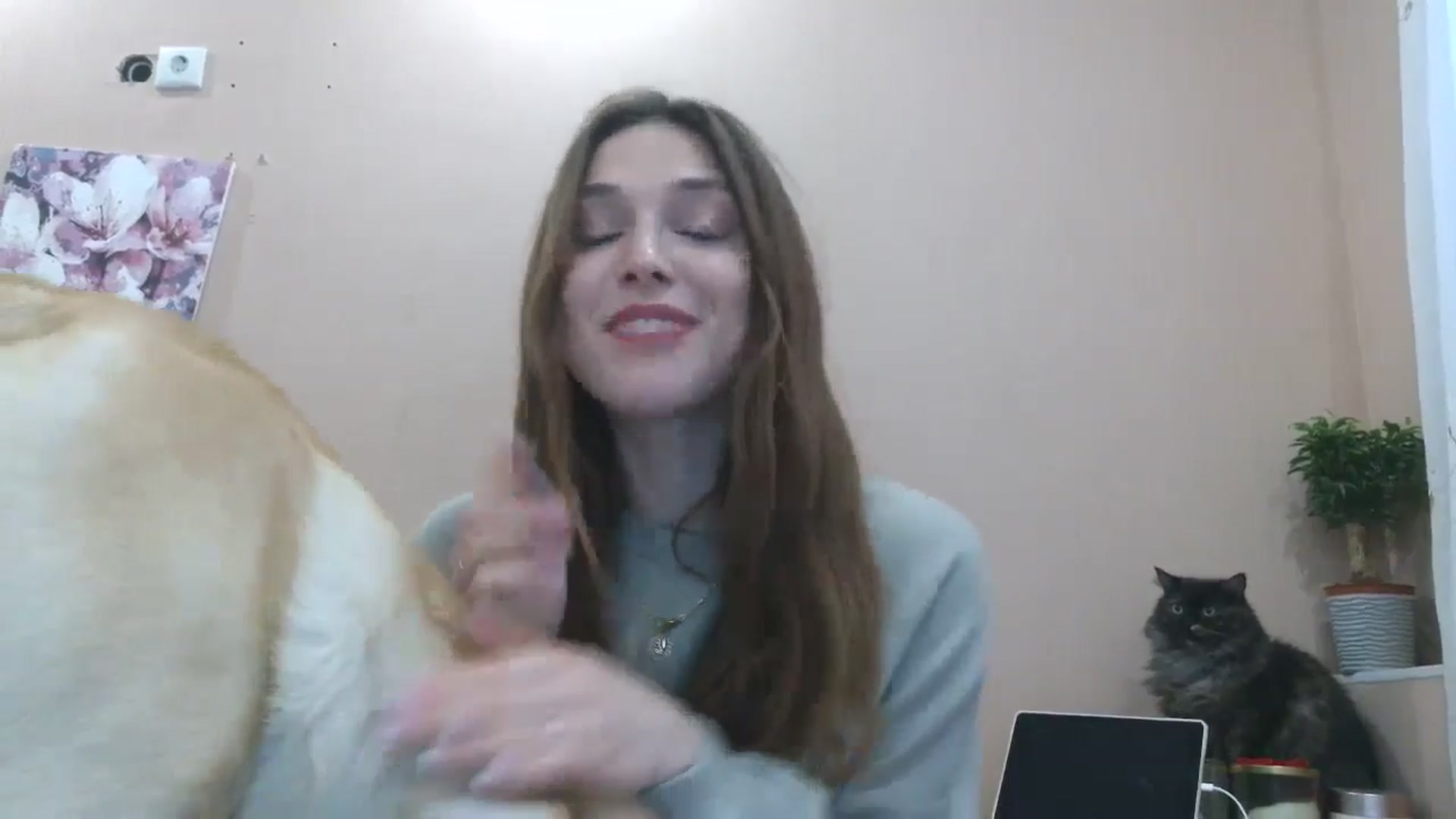 Gallery image thumbnail from HaleyReed's myfreecams stream on, 04/09/2025, 14:16 image 13 of 20