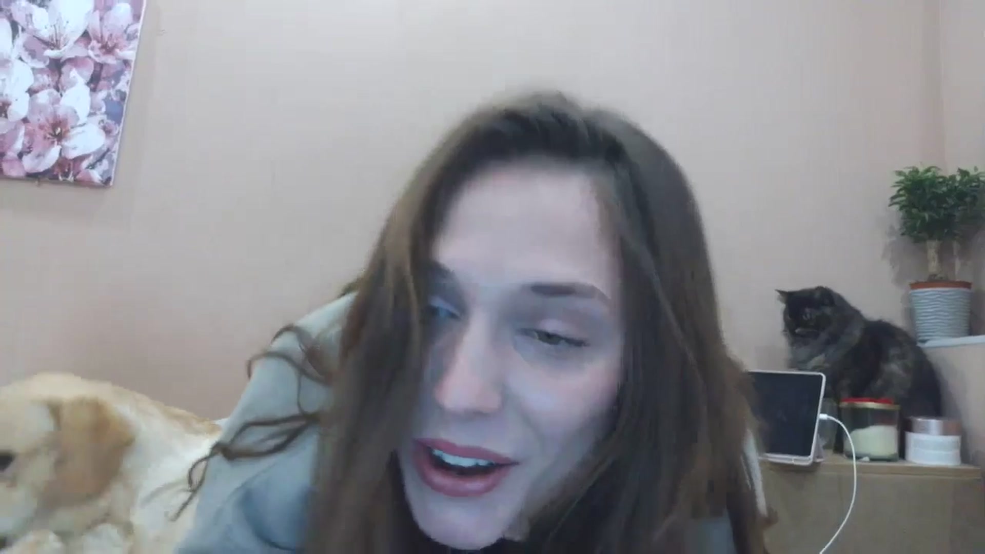 Gallery image thumbnail from HaleyReed's myfreecams stream on, 04/09/2025, 14:16 image 14 of 20
