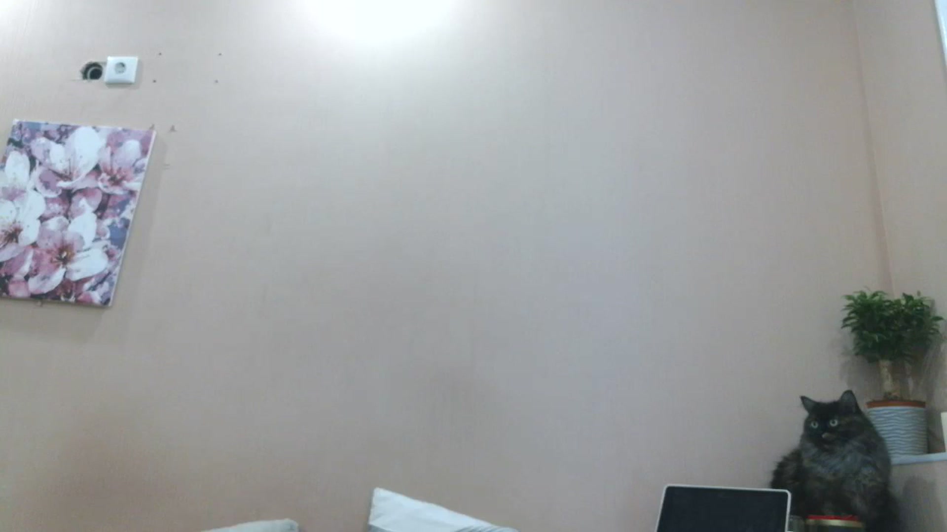 Gallery image thumbnail from HaleyReed's myfreecams stream on, 04/09/2025, 14:16 image 18 of 20