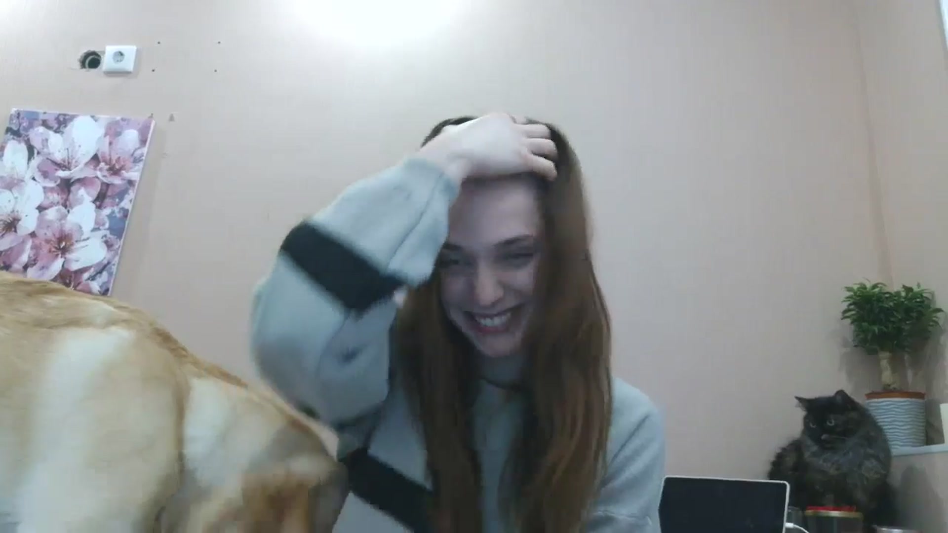 Gallery image thumbnail from HaleyReed's myfreecams stream on, 04/09/2025, 14:16 image 17 of 20