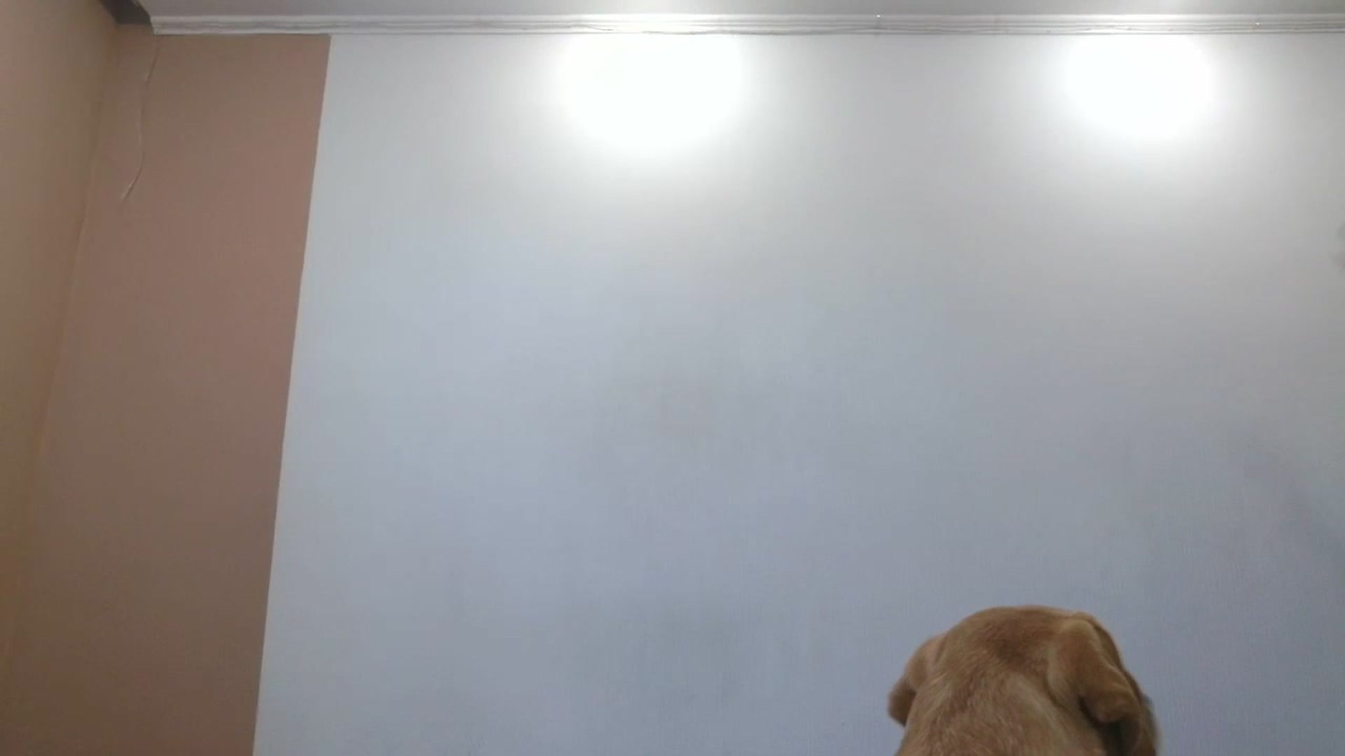 Gallery image thumbnail from HaleyReed's myfreecams stream on, 04/16/2025, 12:56 image 6 of 20