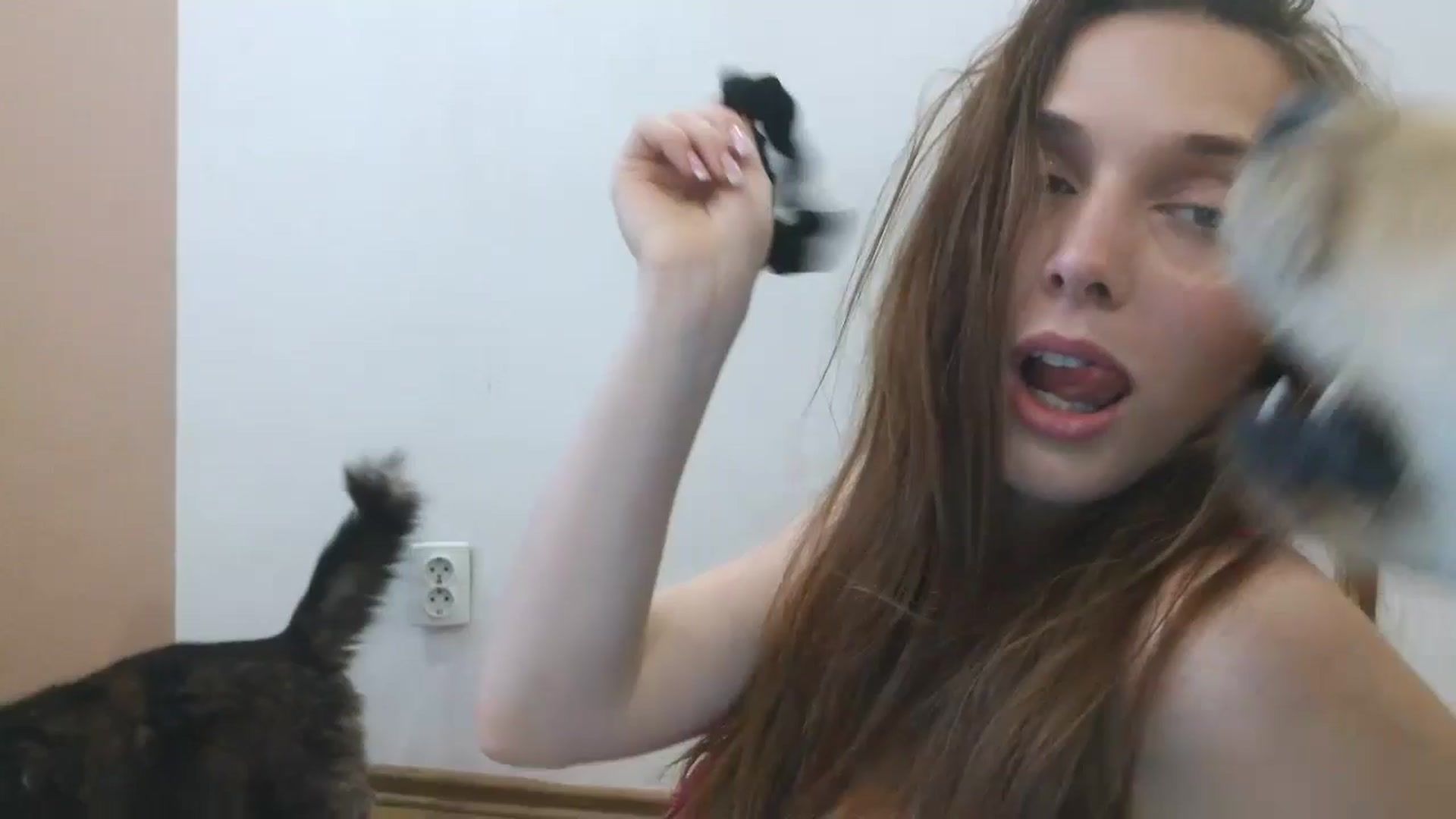 Gallery image thumbnail from HaleyReed's myfreecams stream on, 04/16/2025, 14:30 image 20 of 20