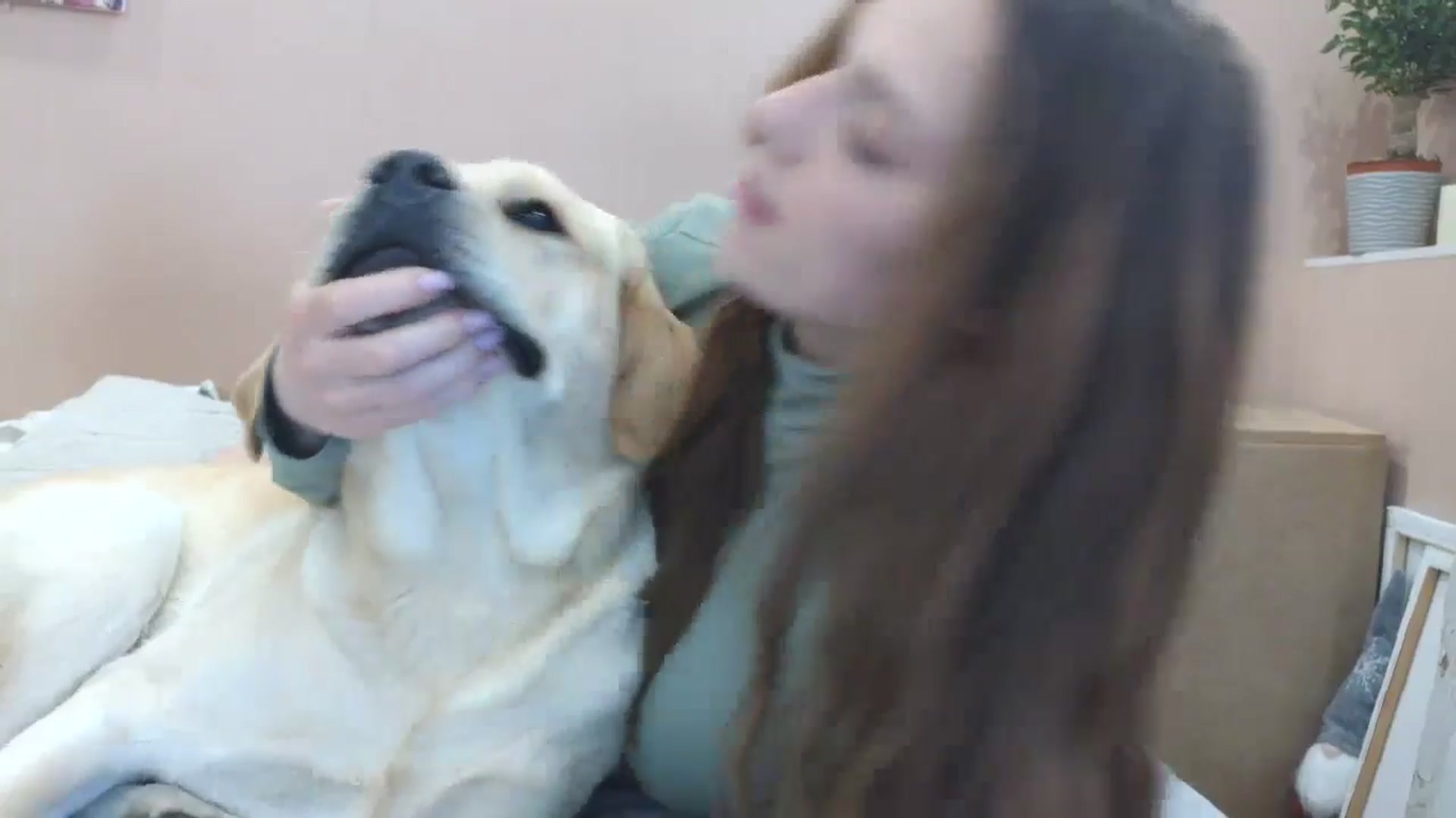 Gallery image thumbnail from HaleyReed's myfreecams stream on, 04/18/2025, 12:01 image 6 of 20