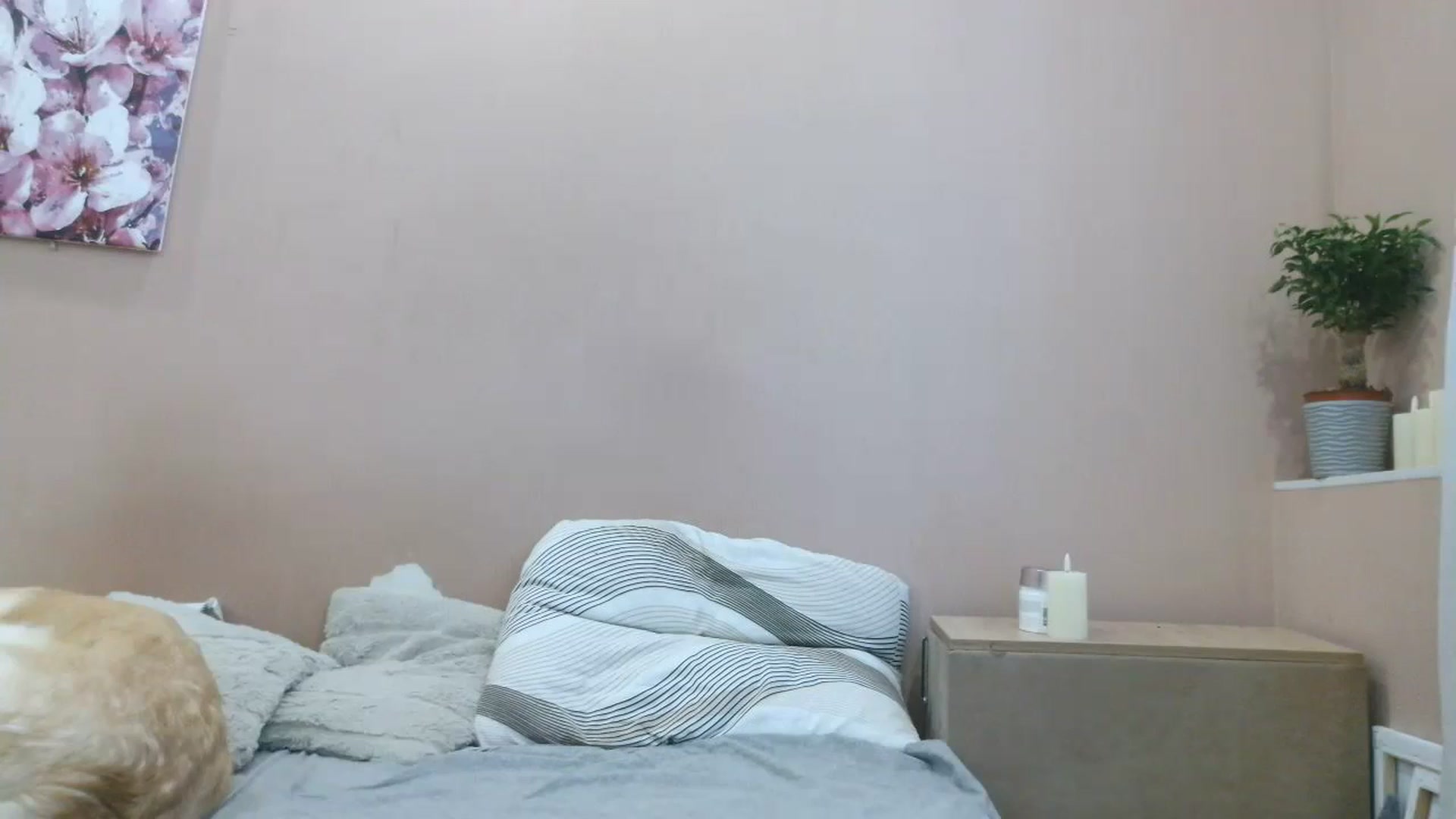 Gallery image thumbnail from HaleyReed's myfreecams stream on, 04/18/2025, 12:01 image 2 of 20
