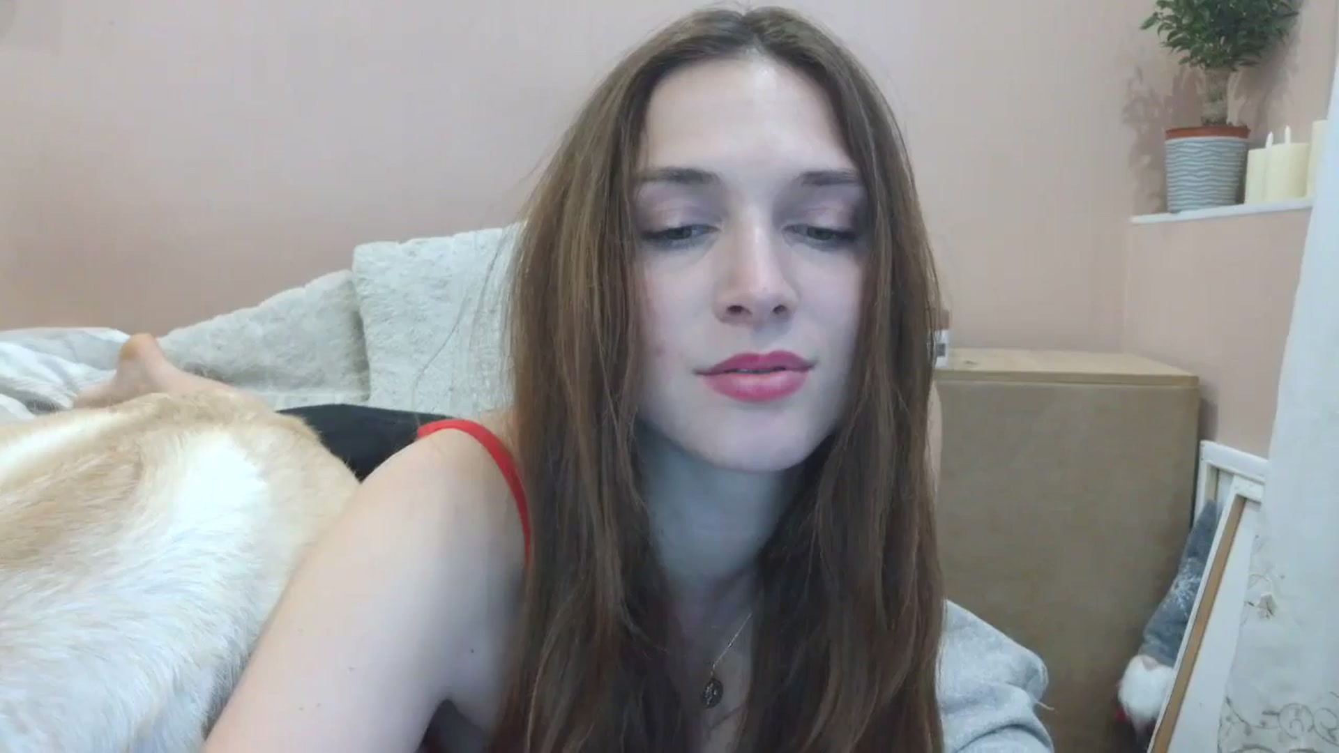 Gallery image thumbnail from HaleyReed's myfreecams stream on, 04/21/2025, 16:02 image 3 of 20