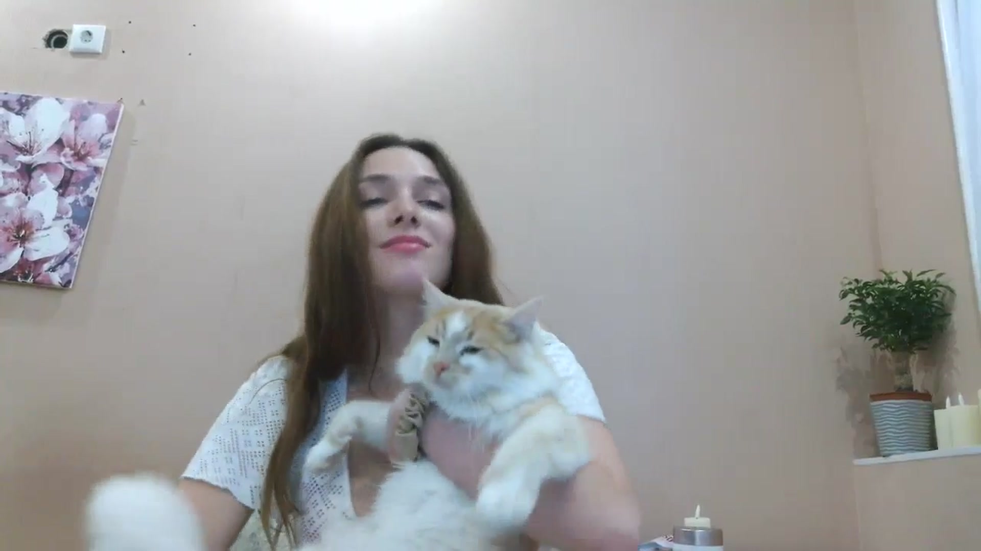 Gallery image thumbnail from HaleyReed's myfreecams stream on, 04/21/2025, 16:02 image 17 of 20