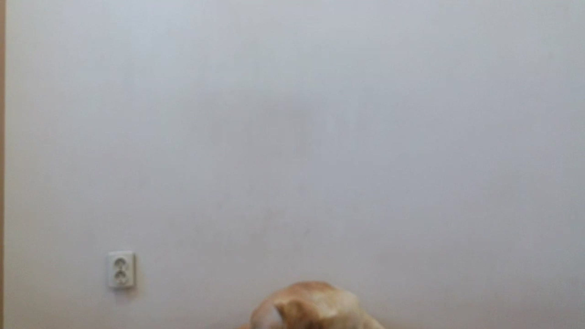 Gallery image thumbnail from HaleyReed's myfreecams stream on, 04/25/2025, 11:32 image 16 of 20