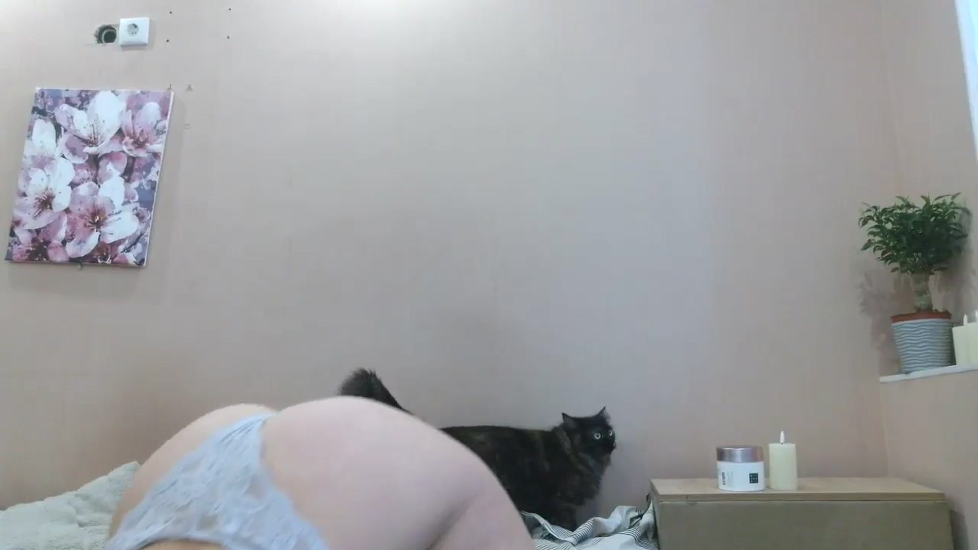 Gallery image thumbnail from HaleyReed's myfreecams stream on, 04/28/2025, 13:28 image 7 of 20