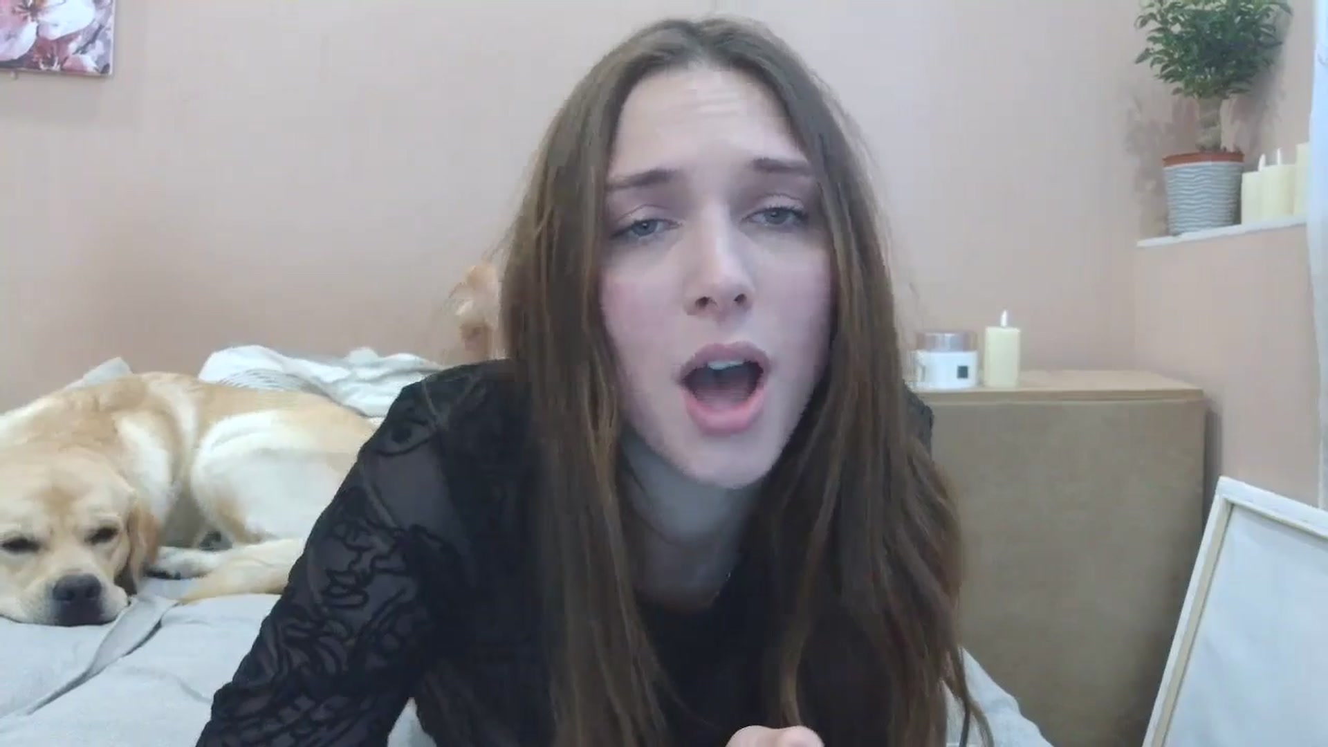Gallery image thumbnail from HaleyReed's myfreecams stream on, 04/28/2025, 13:28 image 20 of 20