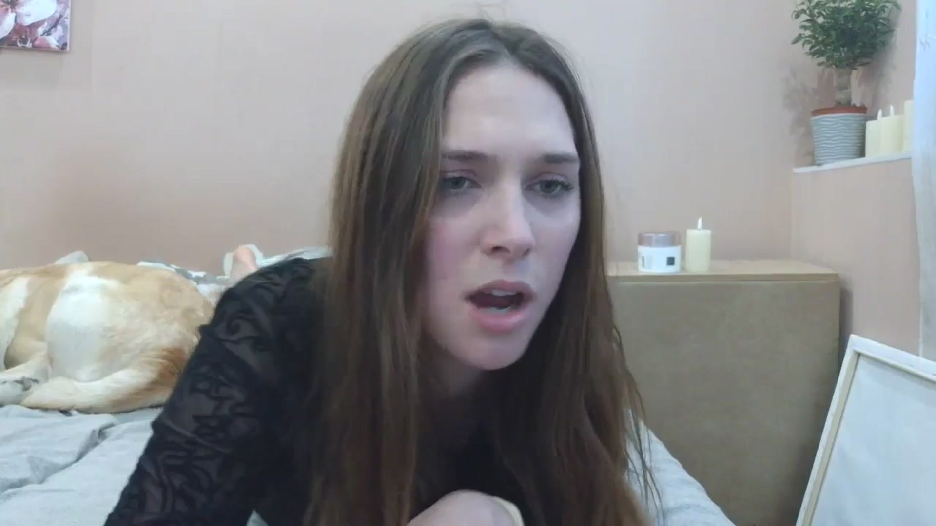 Gallery image thumbnail from HaleyReed's myfreecams stream on, 04/28/2025, 13:28 image 16 of 20