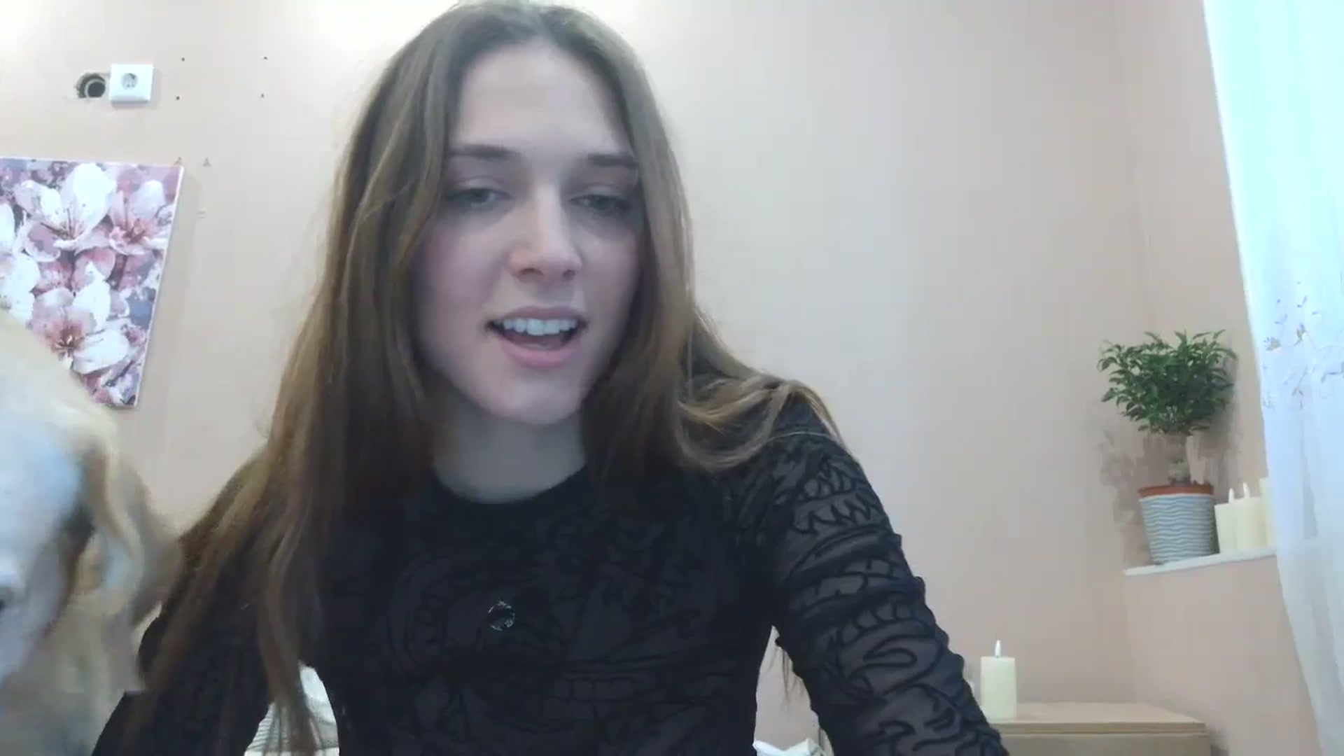 Gallery image thumbnail from HaleyReed's myfreecams stream on, 04/28/2025, 13:28 image 13 of 20
