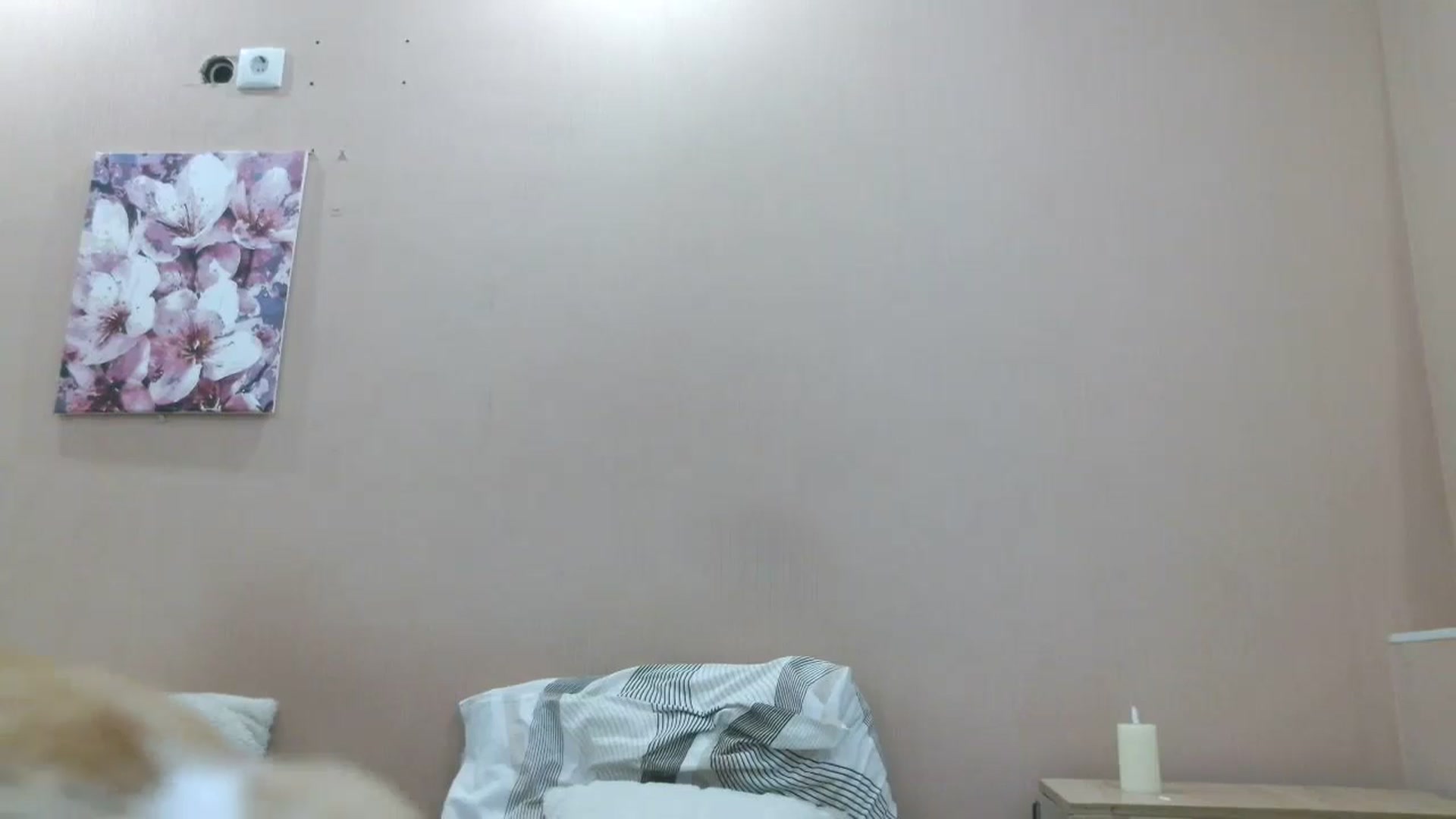 Gallery image thumbnail from HaleyReed's myfreecams stream on, 06/13/2025, 16:50 image 8 of 20