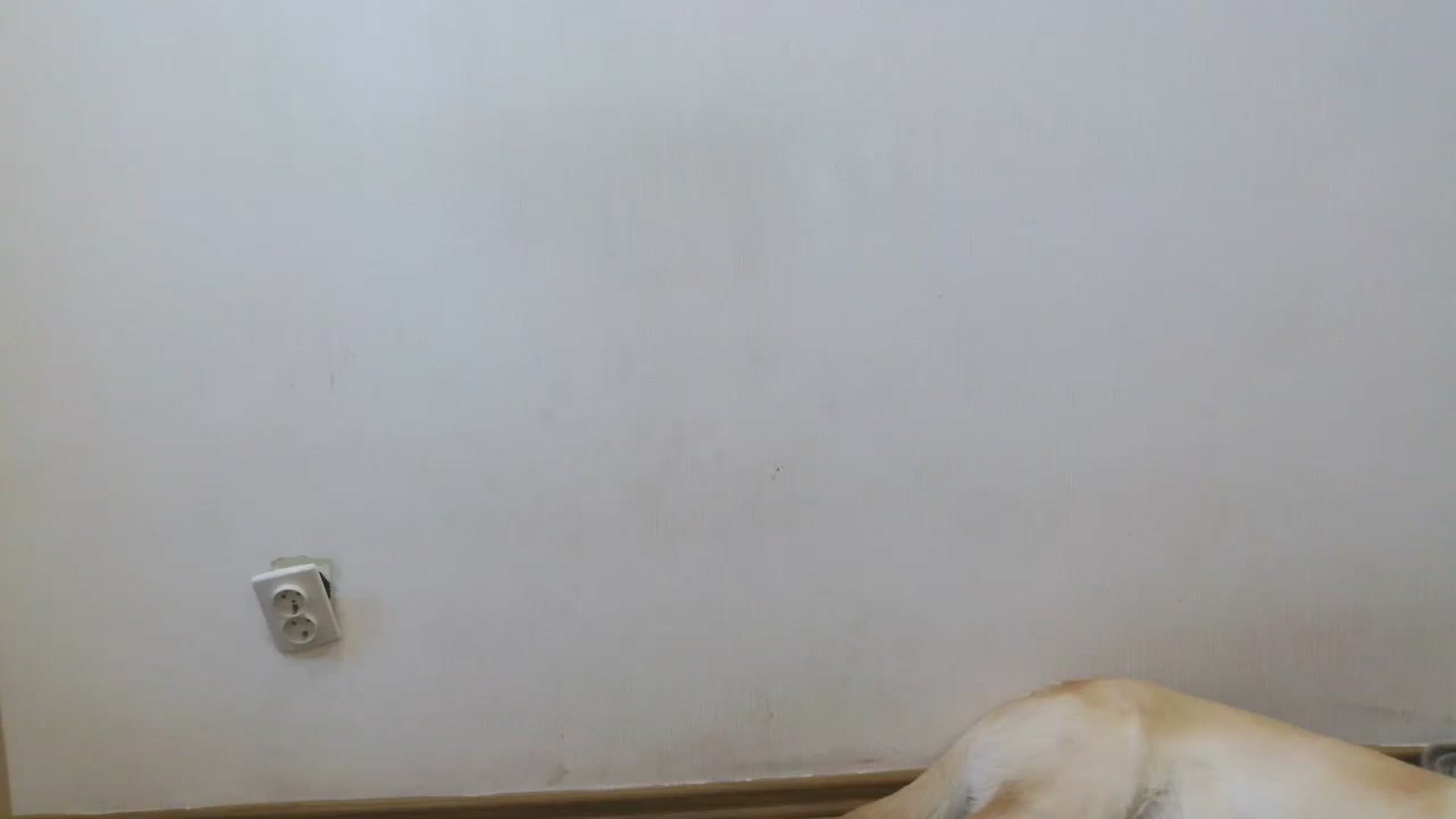Gallery image thumbnail from HaleyReed's myfreecams stream on, 07/10/2025, 11:41 image 11 of 20