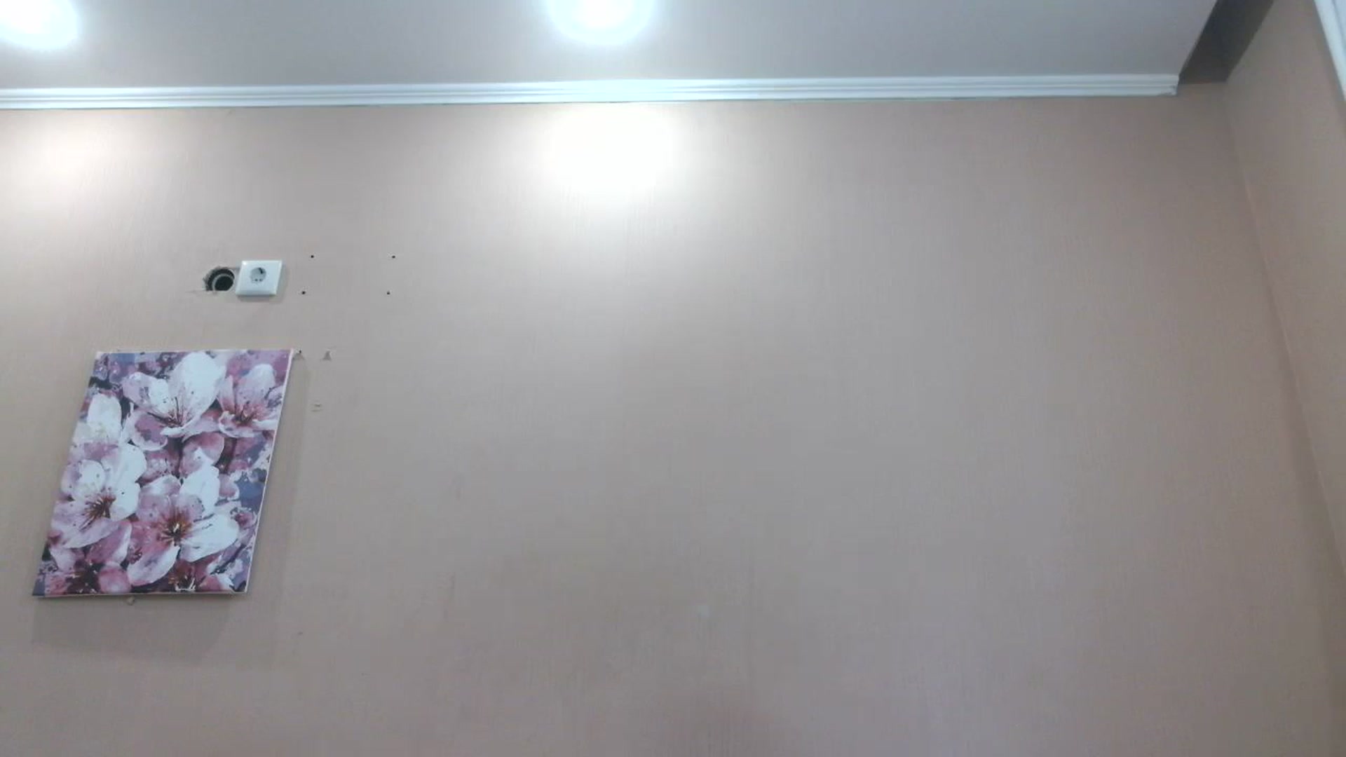 Gallery image thumbnail from HaleyReed's myfreecams stream on, 07/31/2025, 14:12 image 4 of 20