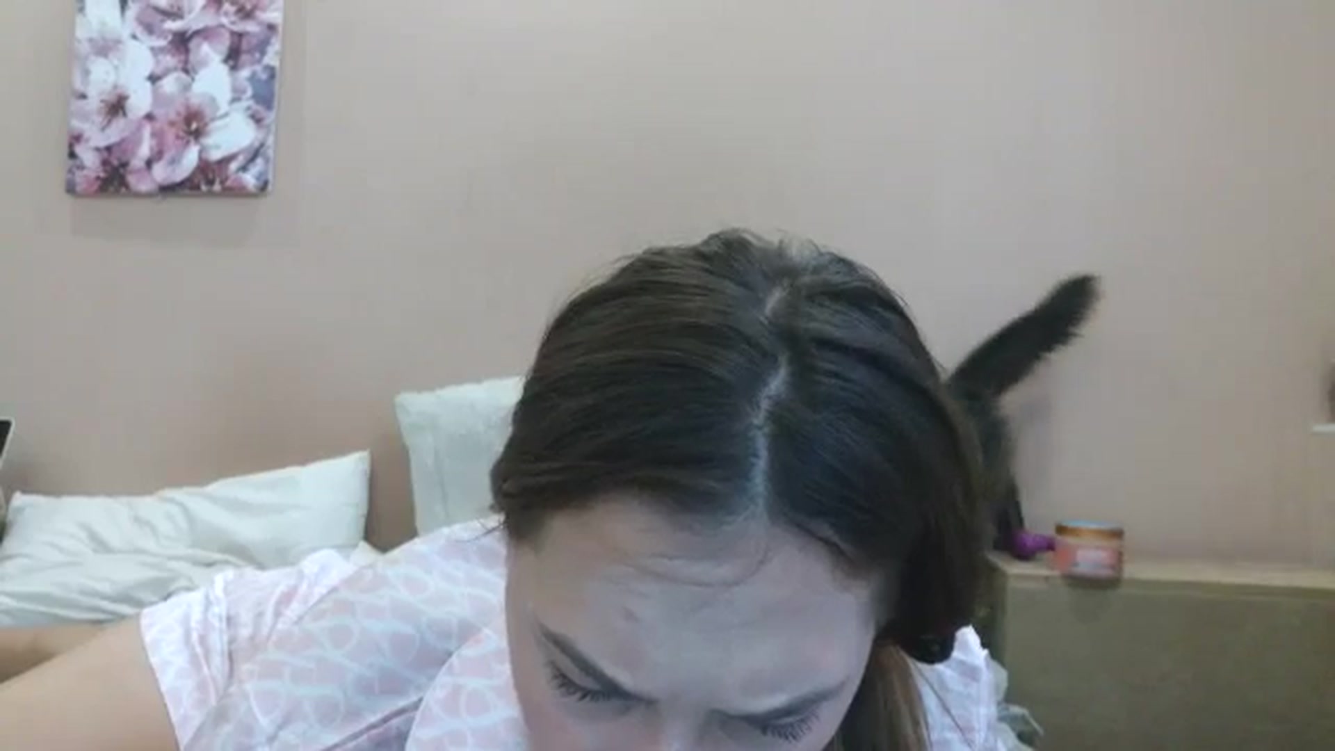 Gallery image thumbnail from HaleyReed's myfreecams stream on, 07/31/2025, 14:12 image 20 of 20