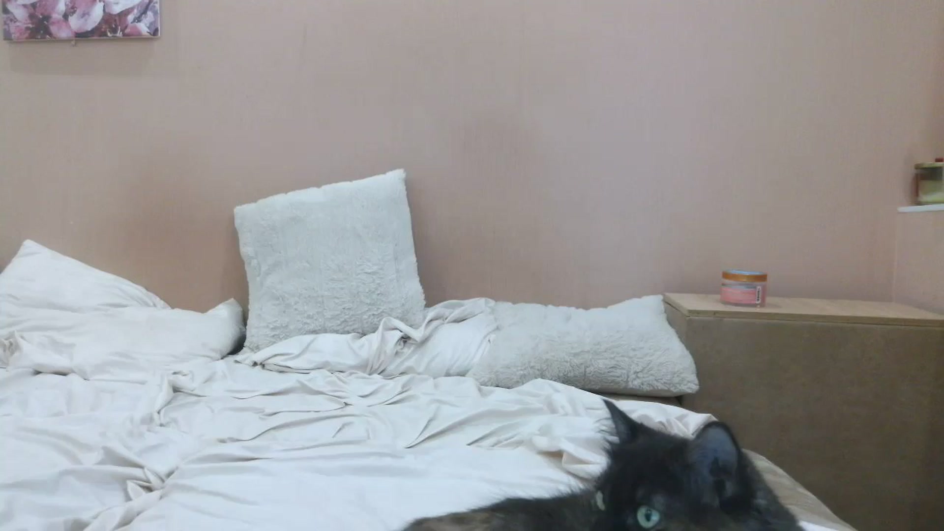 Gallery image thumbnail from HaleyReed's myfreecams stream on, 08/06/2025, 16:48 image 11 of 20