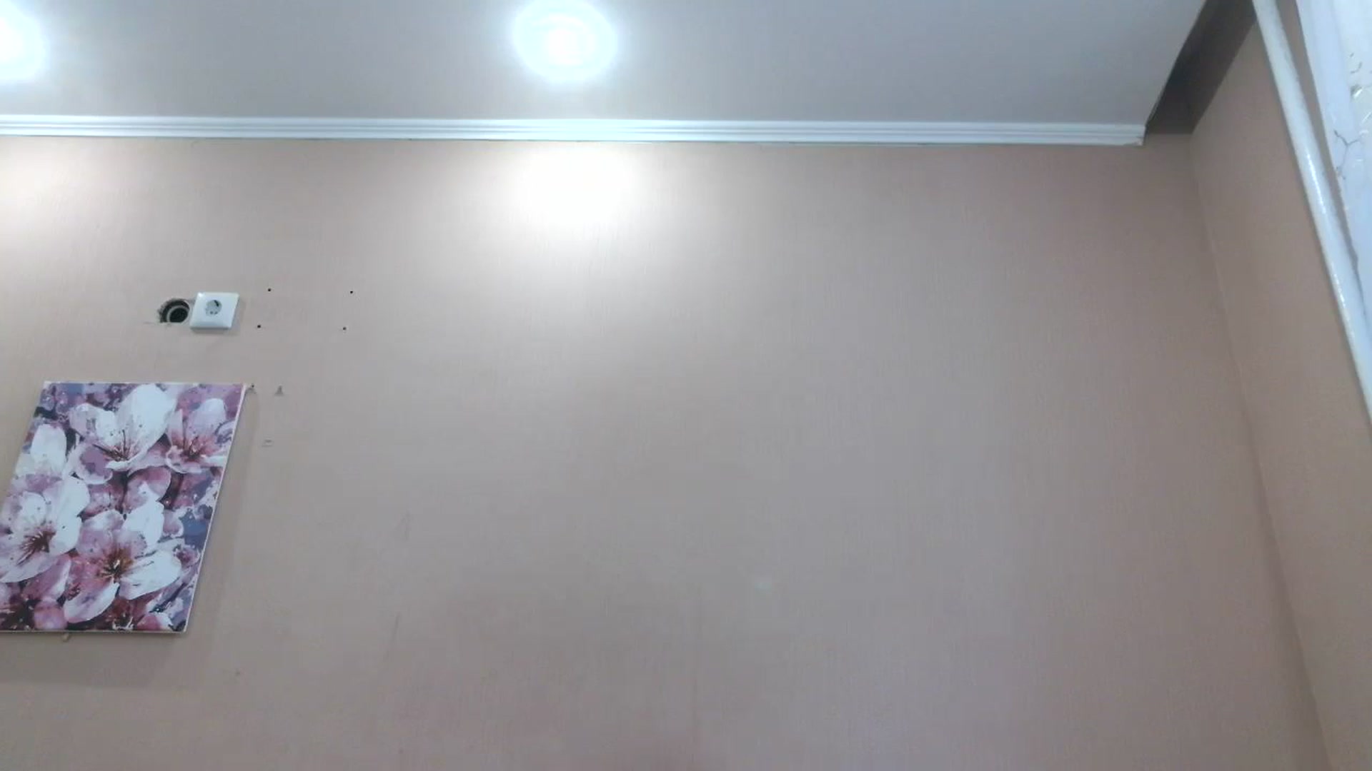 Gallery image thumbnail from HaleyReed's myfreecams stream on, 08/12/2025, 13:04 image 12 of 20