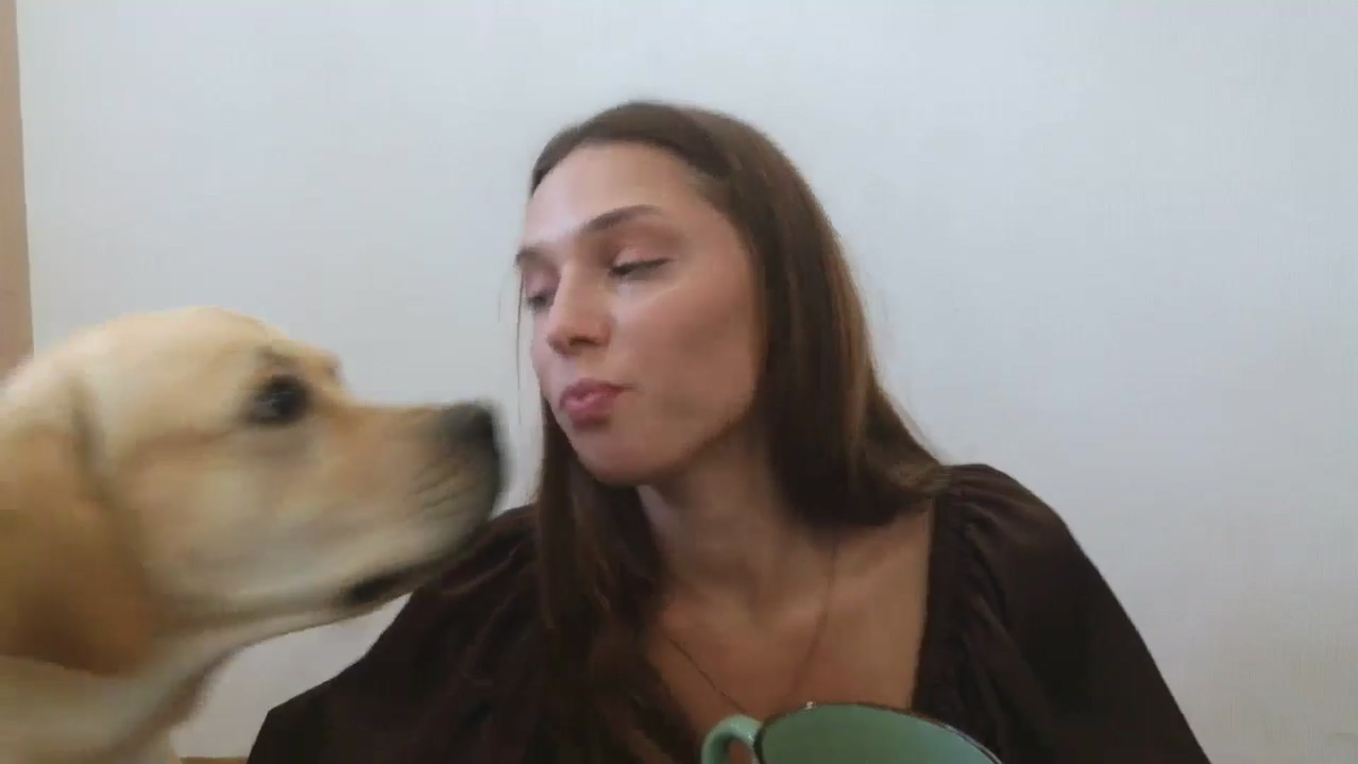 Gallery image thumbnail from HaleyReed's myfreecams stream on, 08/18/2025, 13:51 image 5 of 20