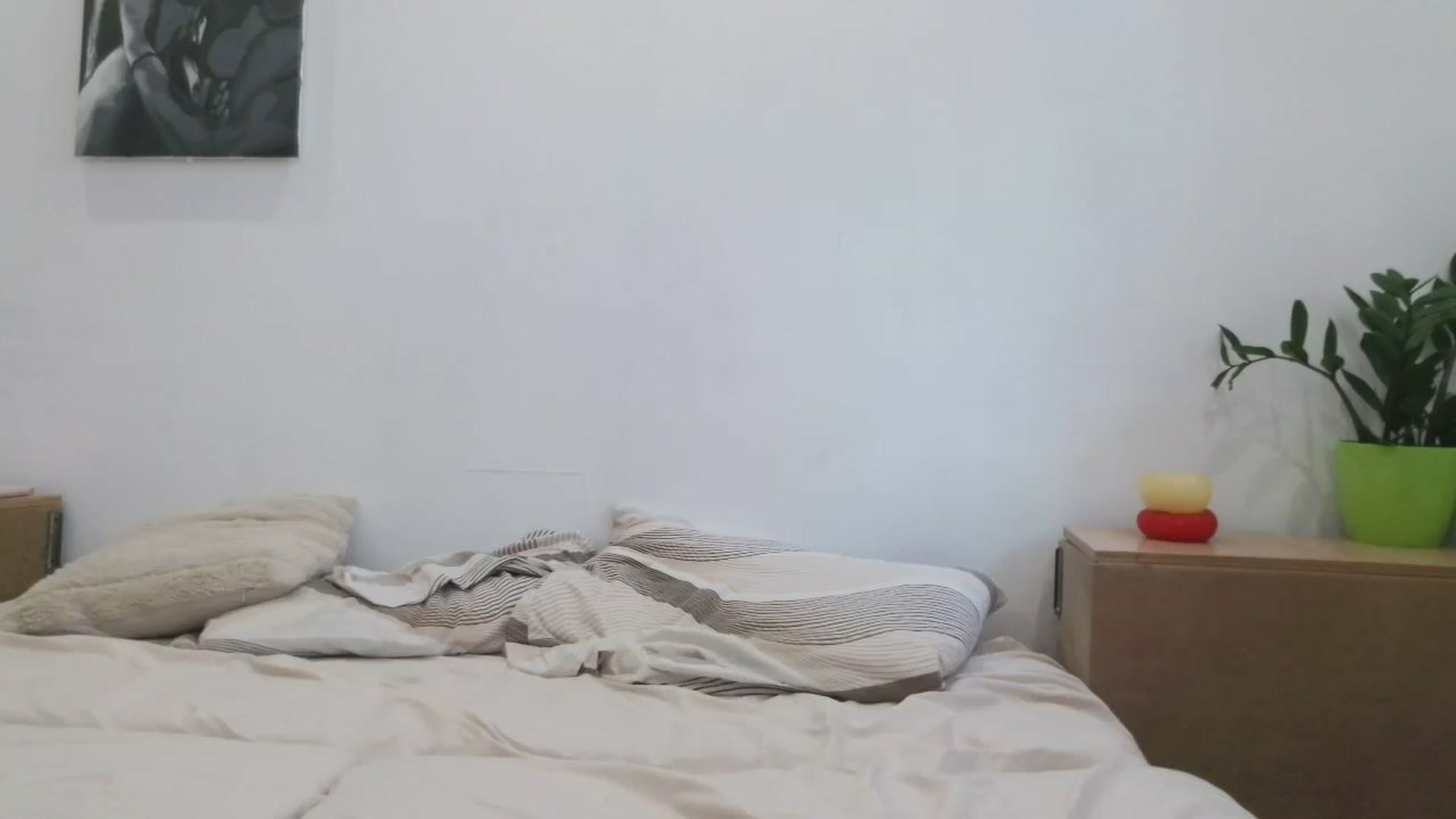 Gallery image thumbnail from HaleyReed's myfreecams stream on, 08/21/2025, 11:44 image 20 of 20