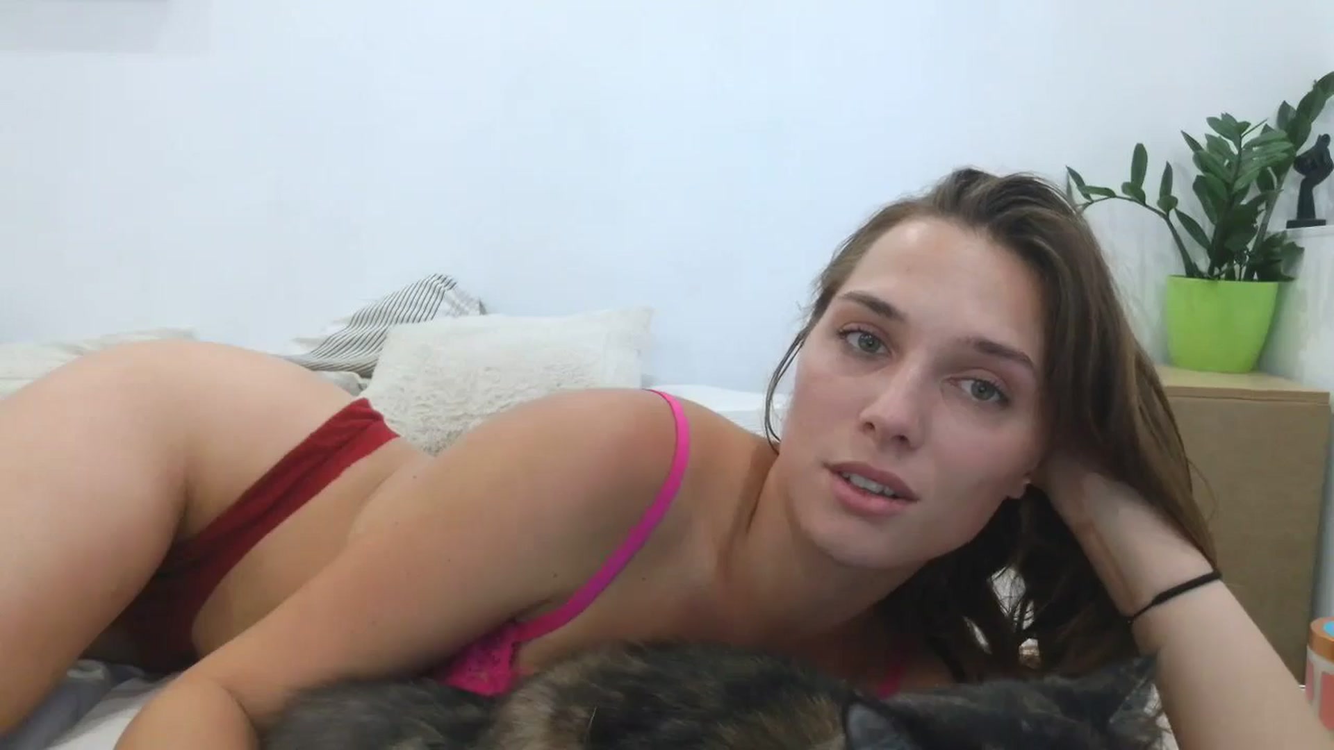 Gallery image thumbnail from HaleyReed's myfreecams stream on, 08/21/2025, 15:37 image 19 of 20