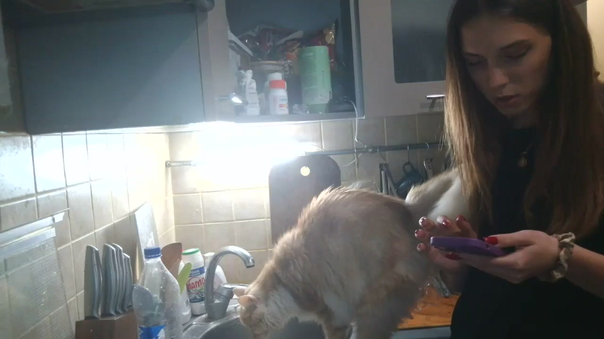 Gallery image thumbnail from HaleyReed's myfreecams stream on, 09/19/2025, 17:17 image 10 of 20