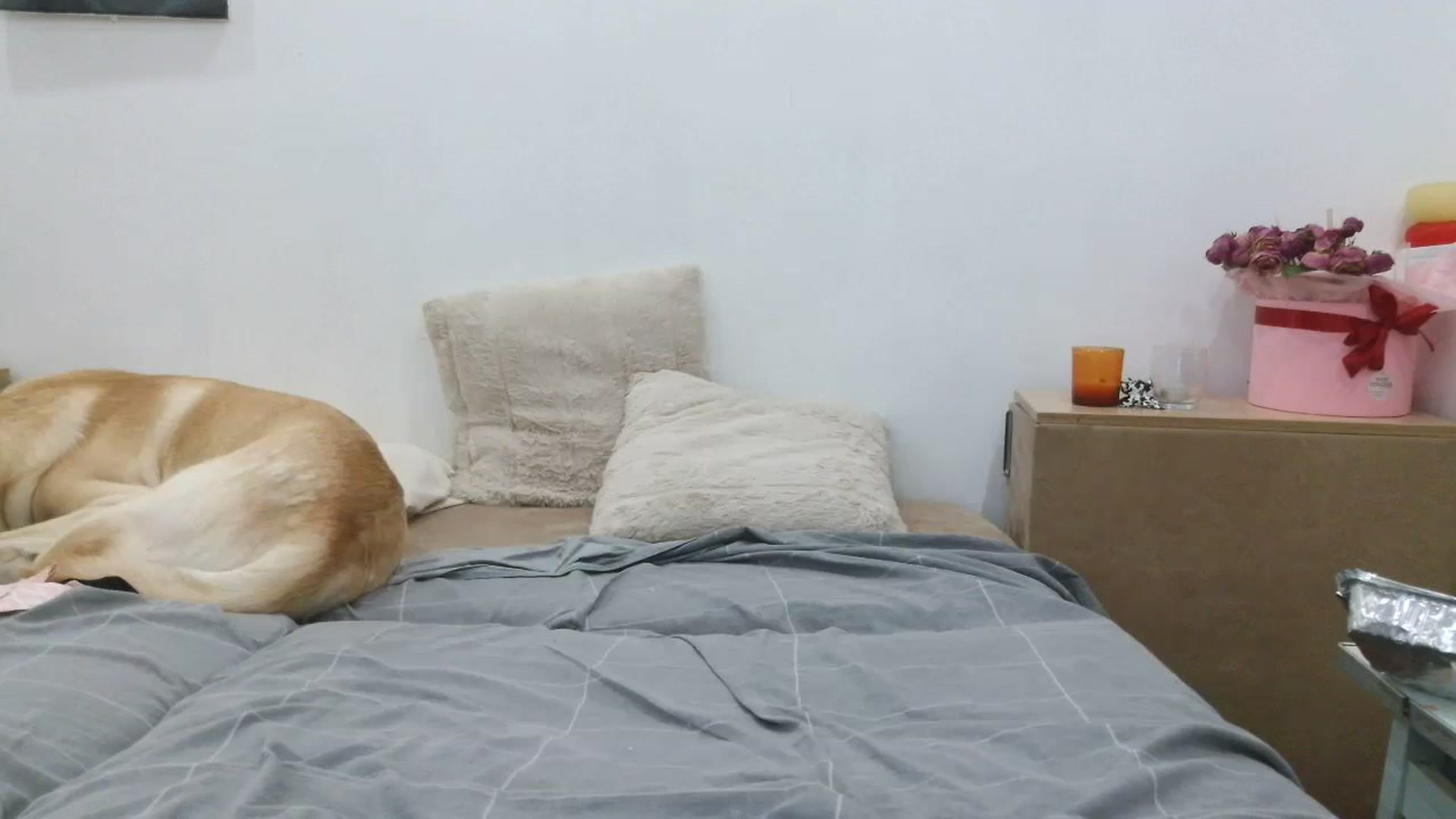 Gallery image thumbnail from HaleyReed's myfreecams stream on, 09/24/2025, 17:02 image 13 of 20