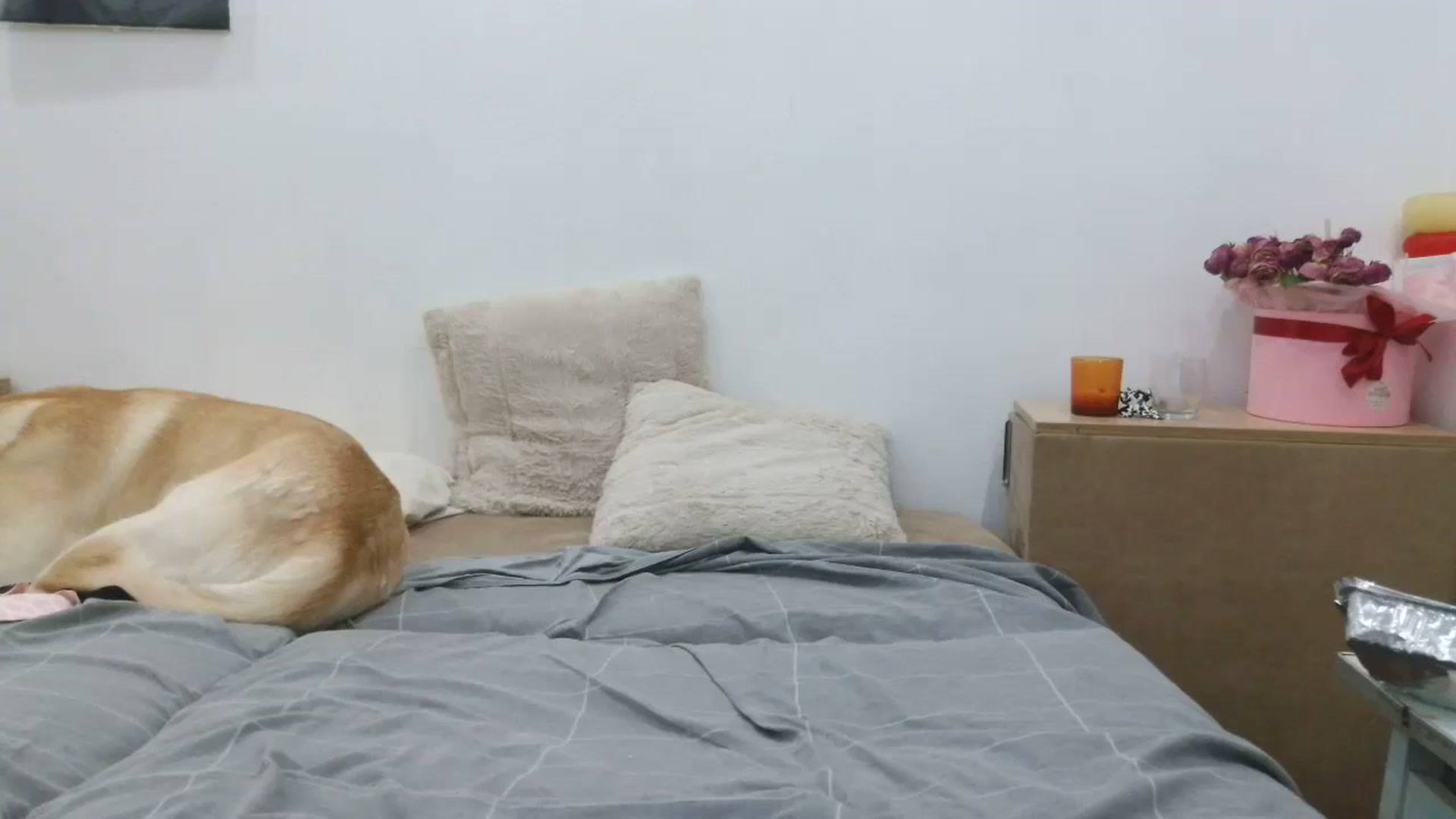 Gallery image thumbnail from HaleyReed's myfreecams stream on, 09/24/2025, 17:02 image 15 of 20