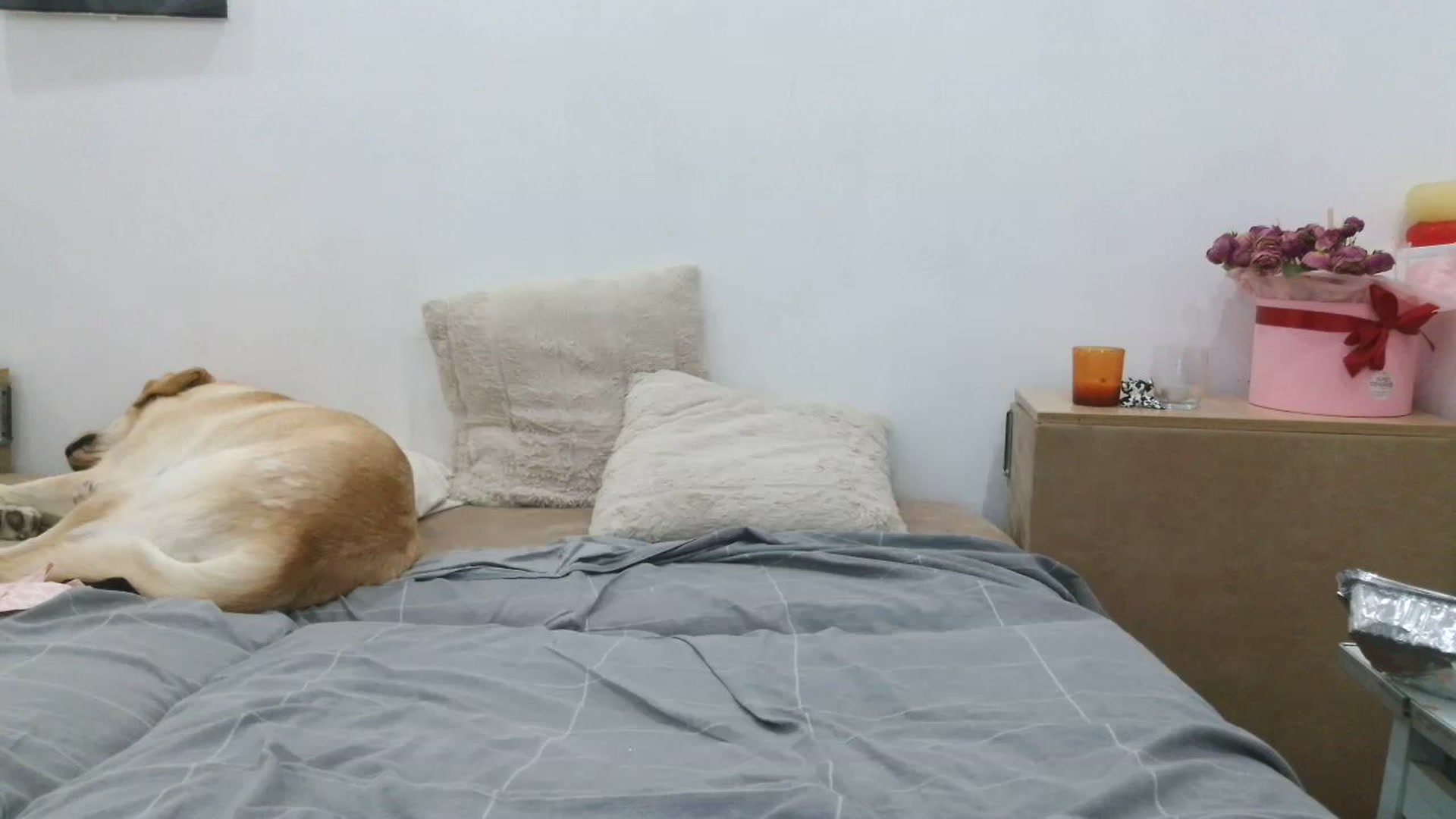 Gallery image thumbnail from HaleyReed's myfreecams stream on, 09/24/2025, 17:02 image 12 of 20