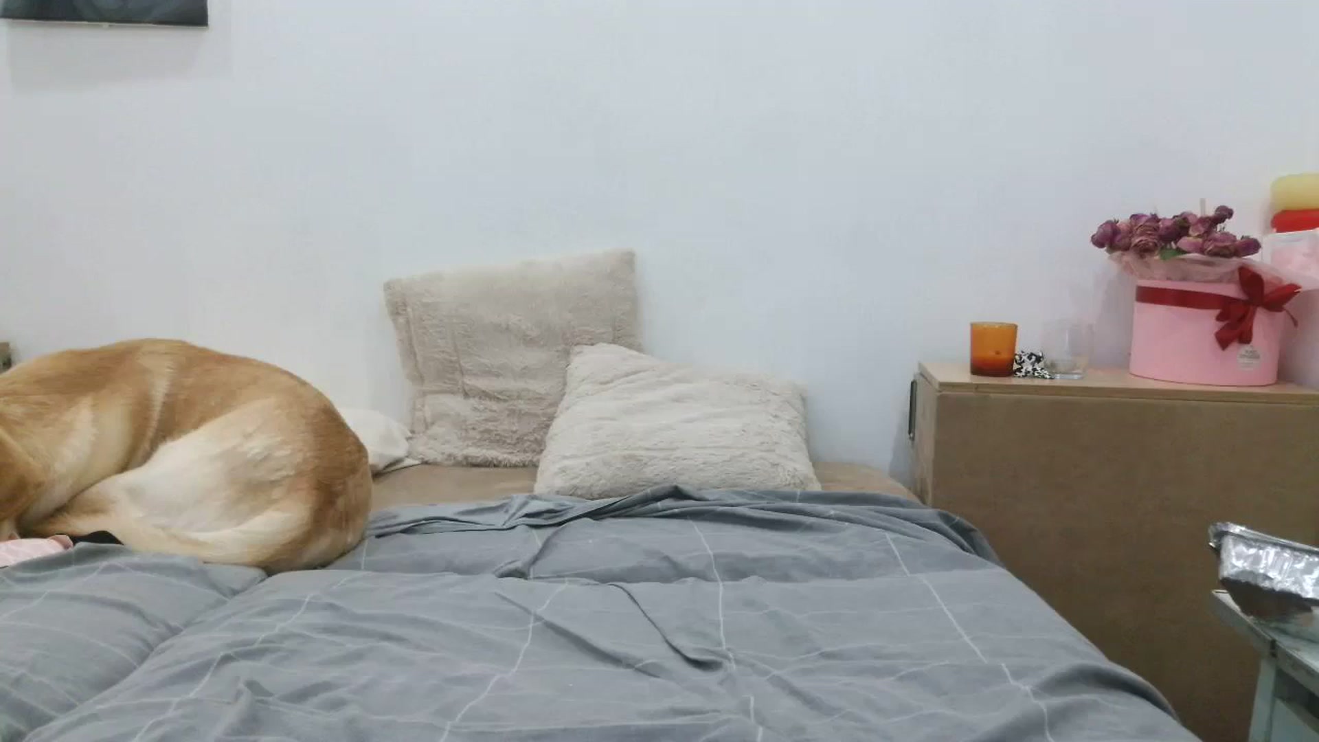 Gallery image thumbnail from HaleyReed's myfreecams stream on, 09/24/2025, 17:02 image 14 of 20