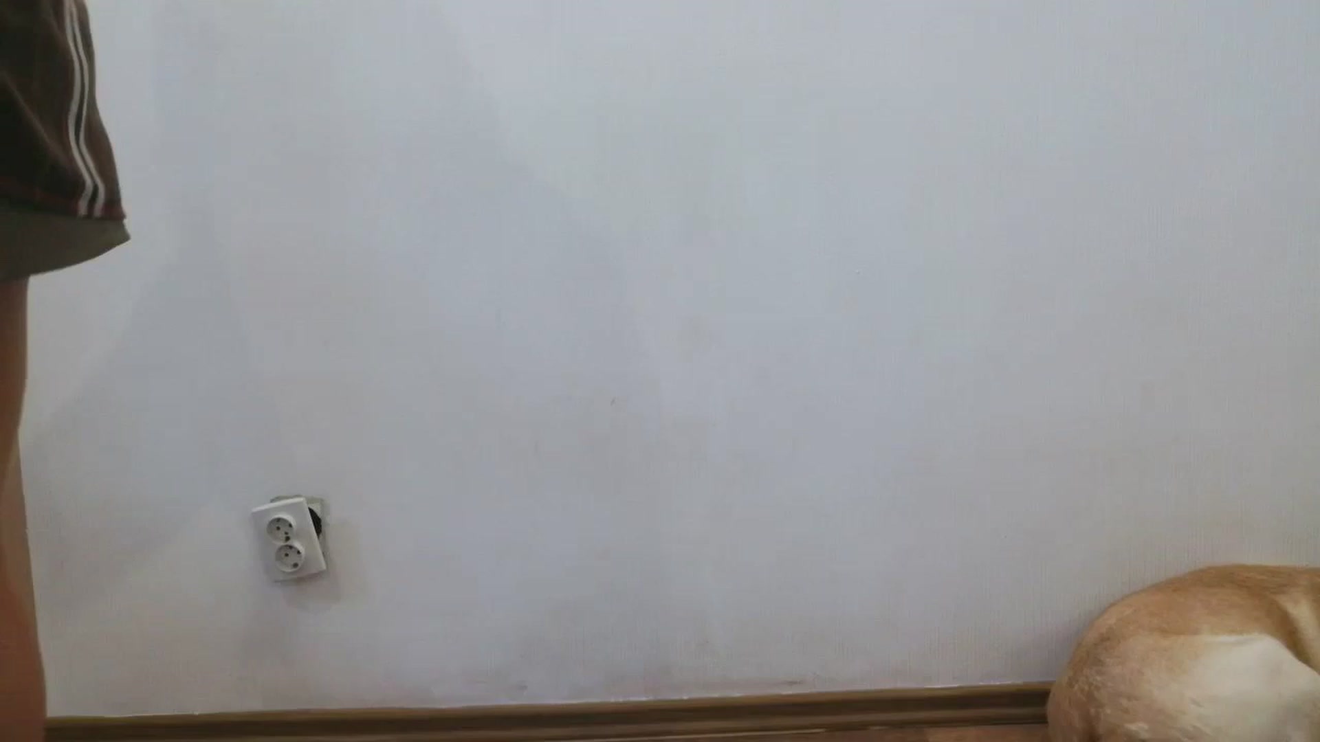Gallery image thumbnail from HaleyReed's myfreecams stream on, 09/29/2025, 11:49 image 18 of 20