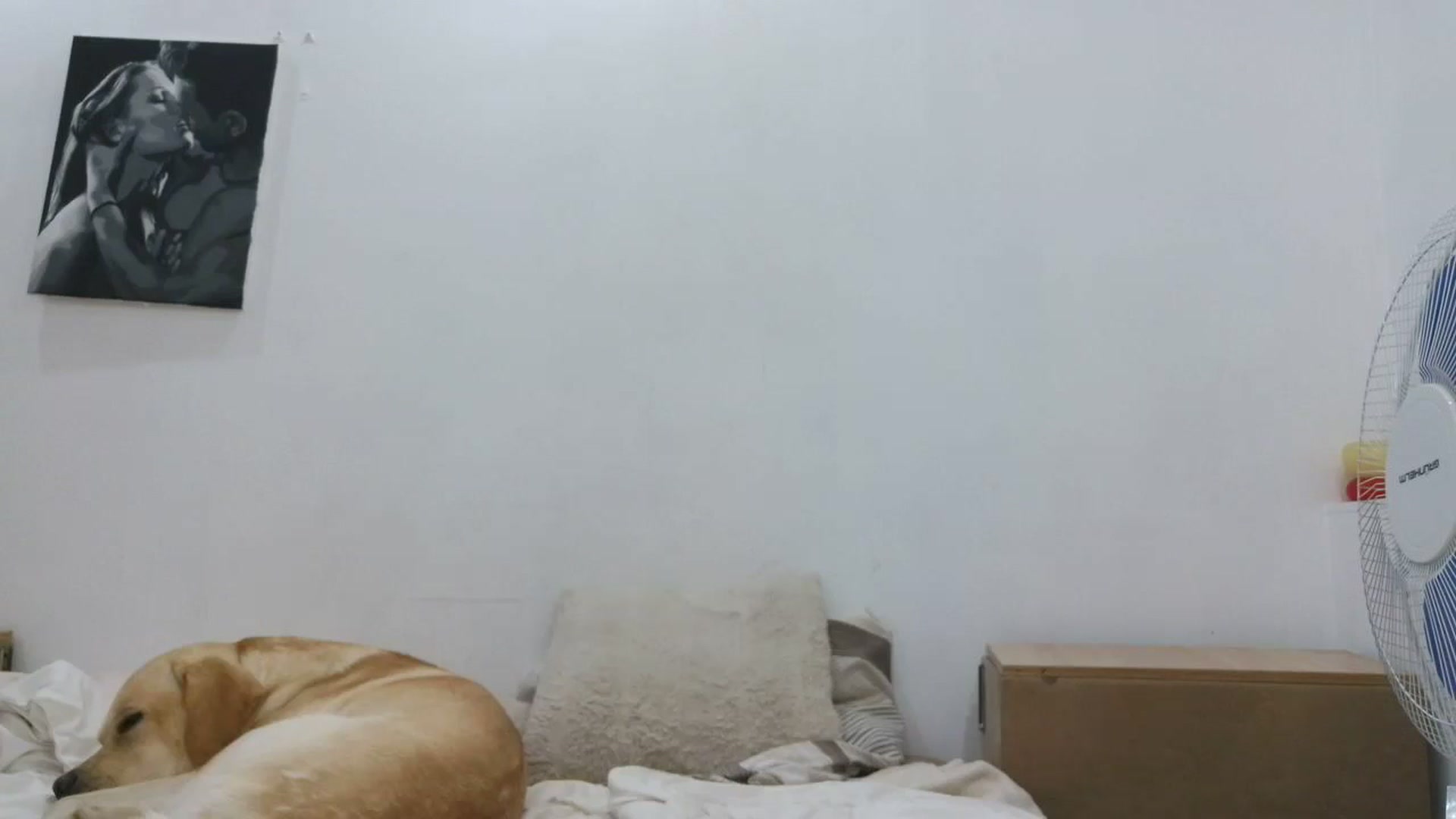 Gallery image thumbnail from HaleyReed's myfreecams stream on, 10/26/2025, 15:12 image 1 of 20