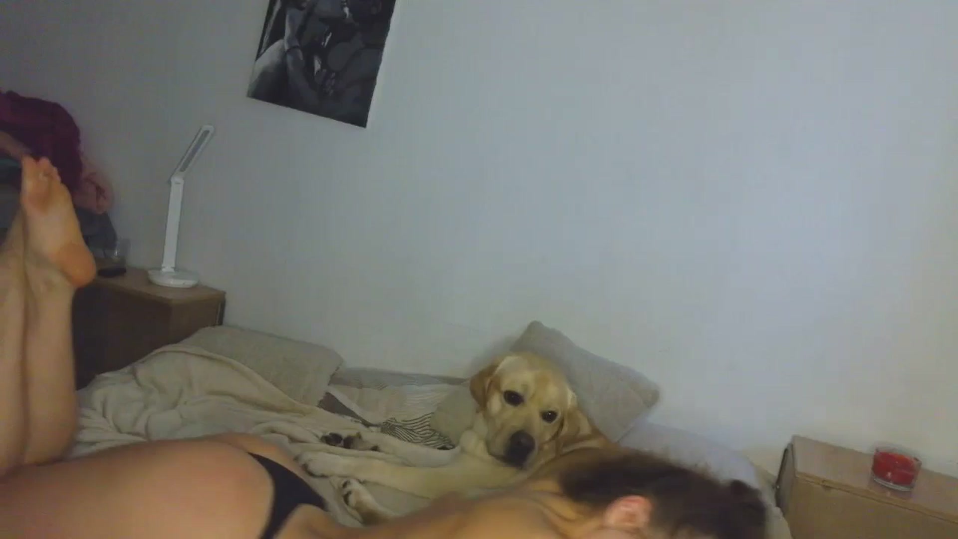 Gallery image thumbnail from HaleyReed's myfreecams stream on, 11/06/2025, 13:03 image 10 of 20