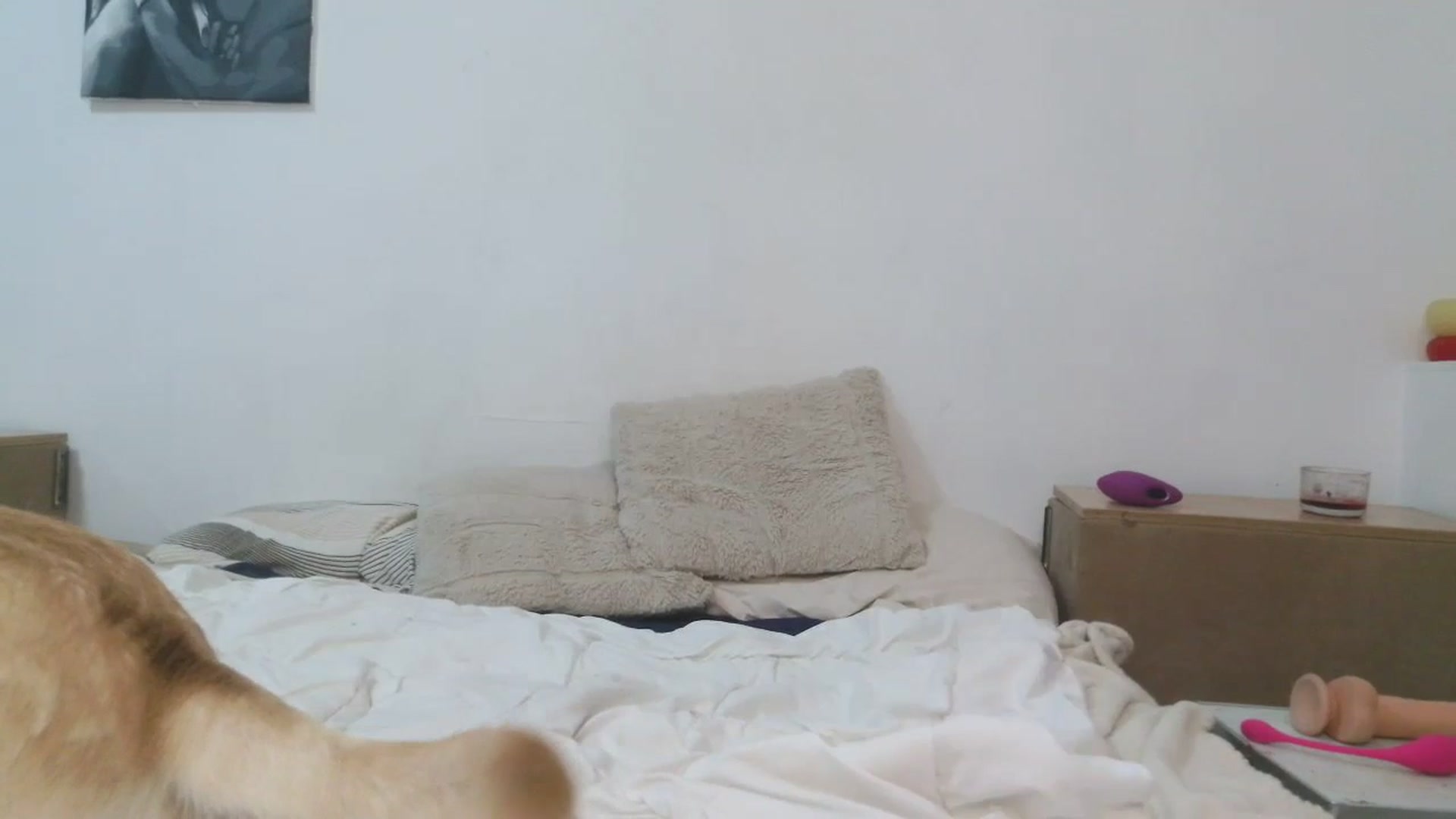 Gallery image thumbnail from HaleyReed's myfreecams stream on, 11/07/2025, 18:36 image 16 of 20