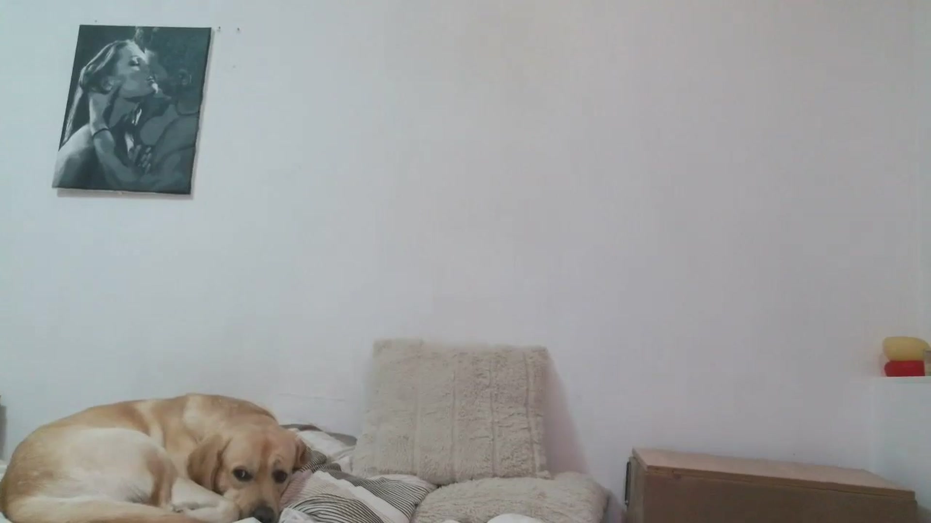 Gallery image thumbnail from HaleyReed's myfreecams stream on, 11/10/2025, 15:26 image 15 of 20