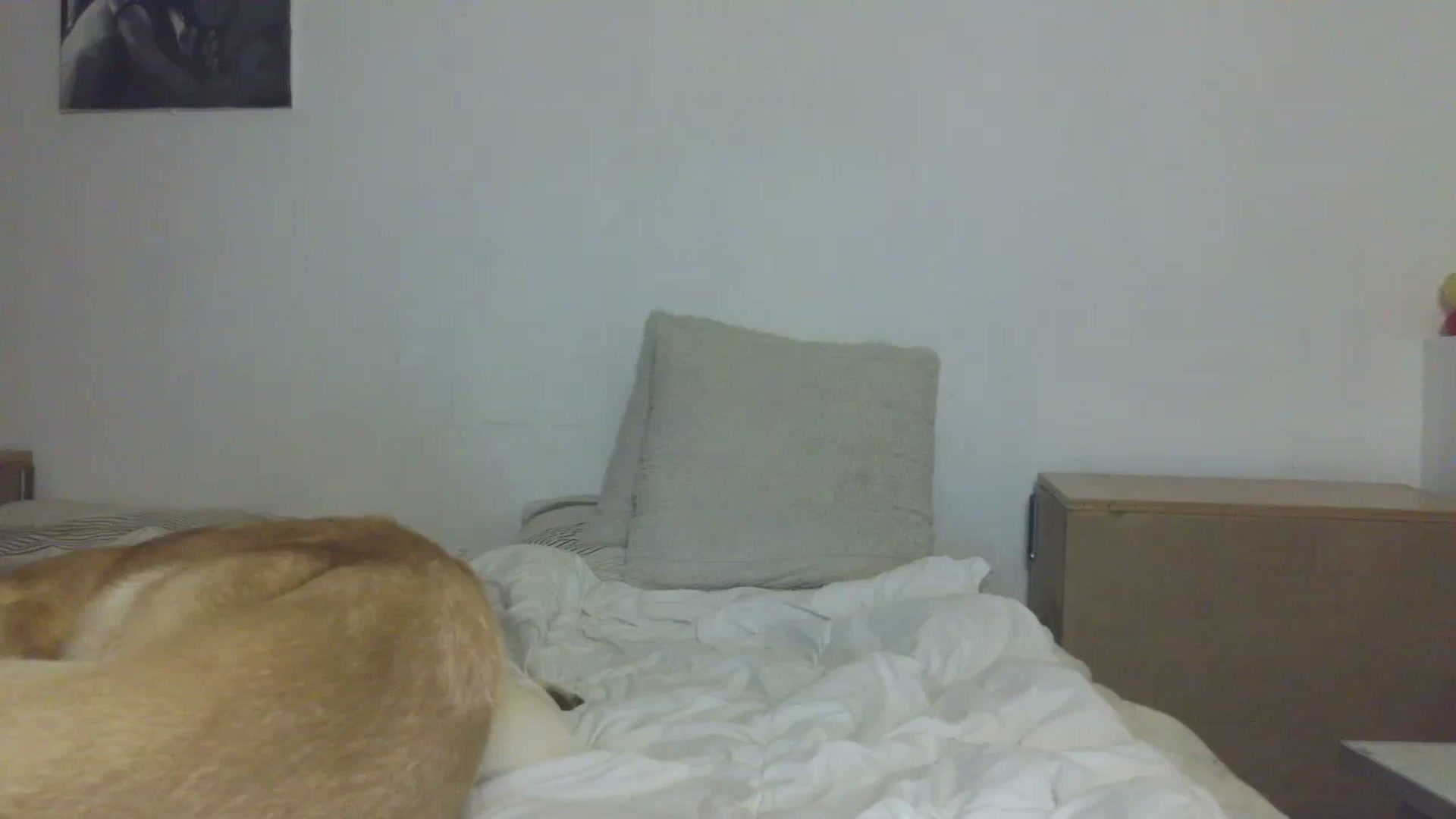 Gallery image thumbnail from HaleyReed's myfreecams stream on, 11/12/2025, 16:09 image 8 of 20