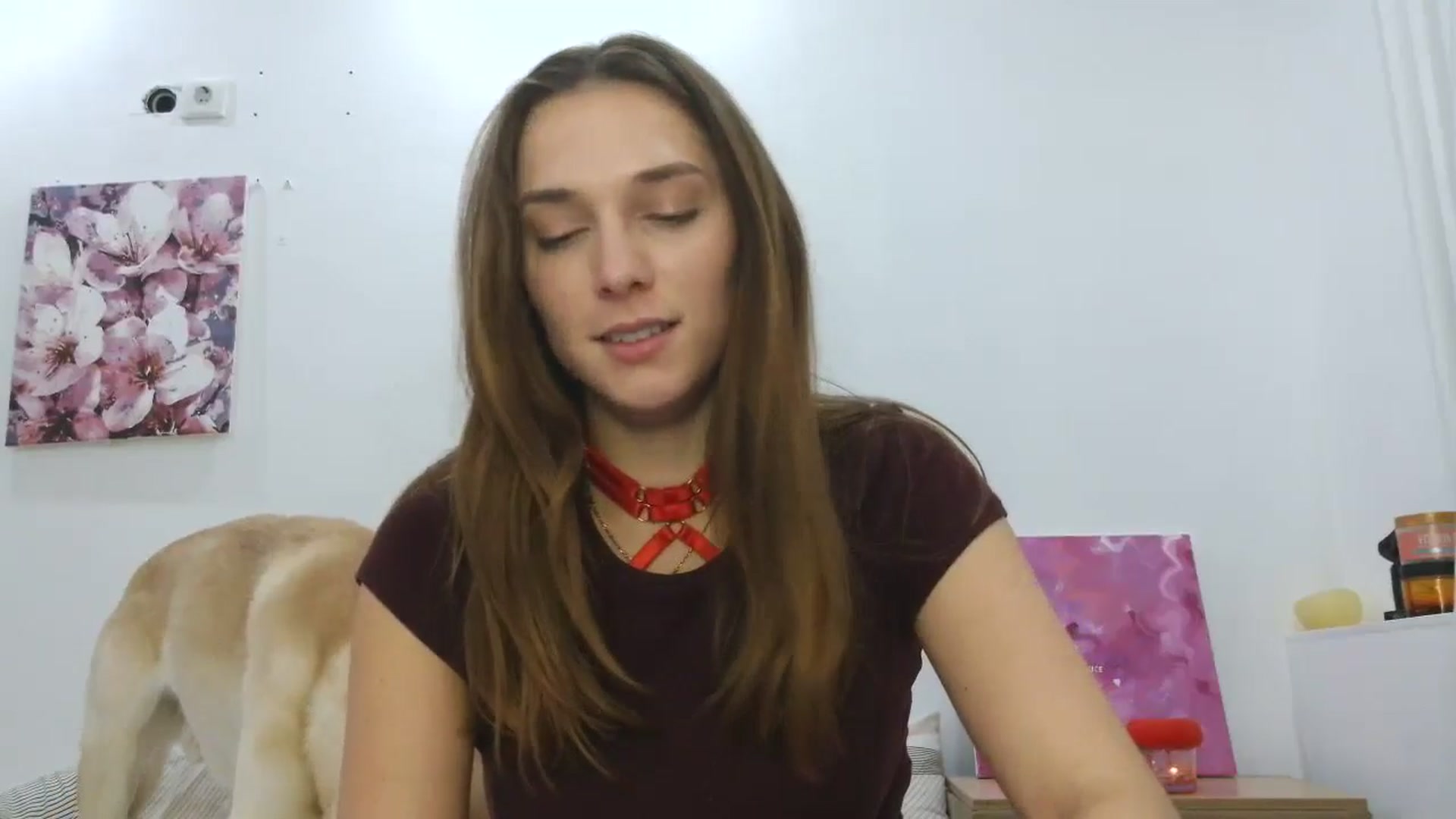 Gallery image thumbnail from HaleyReed's myfreecams stream on, 11/17/2025, 17:01 image 5 of 20